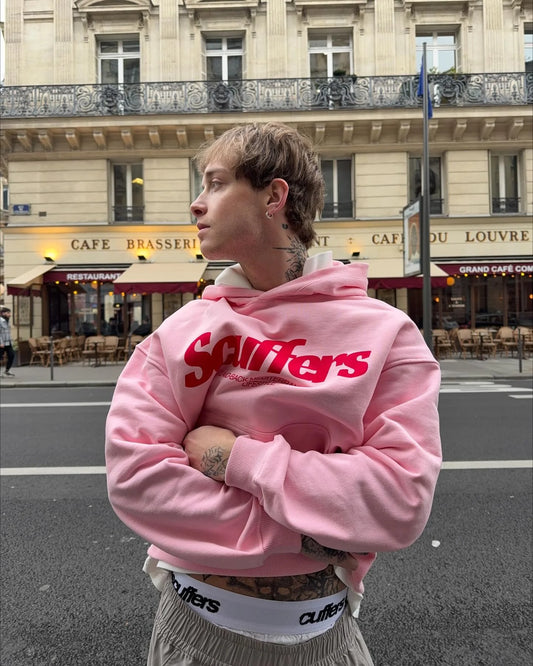 Y2K Fashion Simple Fresh Style Pink Loose Pullover Sweatshirts Europe Street Harajuku Casual Cotton Comfort Anime Hoodies Coat