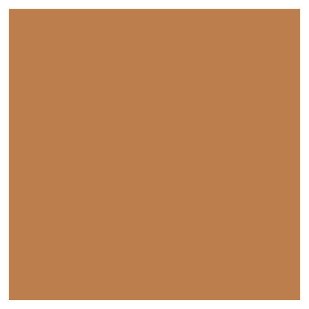 Revlon Colorstay Liquid Foundation Makeup for Combination/Oily Skin SPF15 Medium to Full Coverage (30ml) Matte Finish, Buff (150) Unisex Halalzen