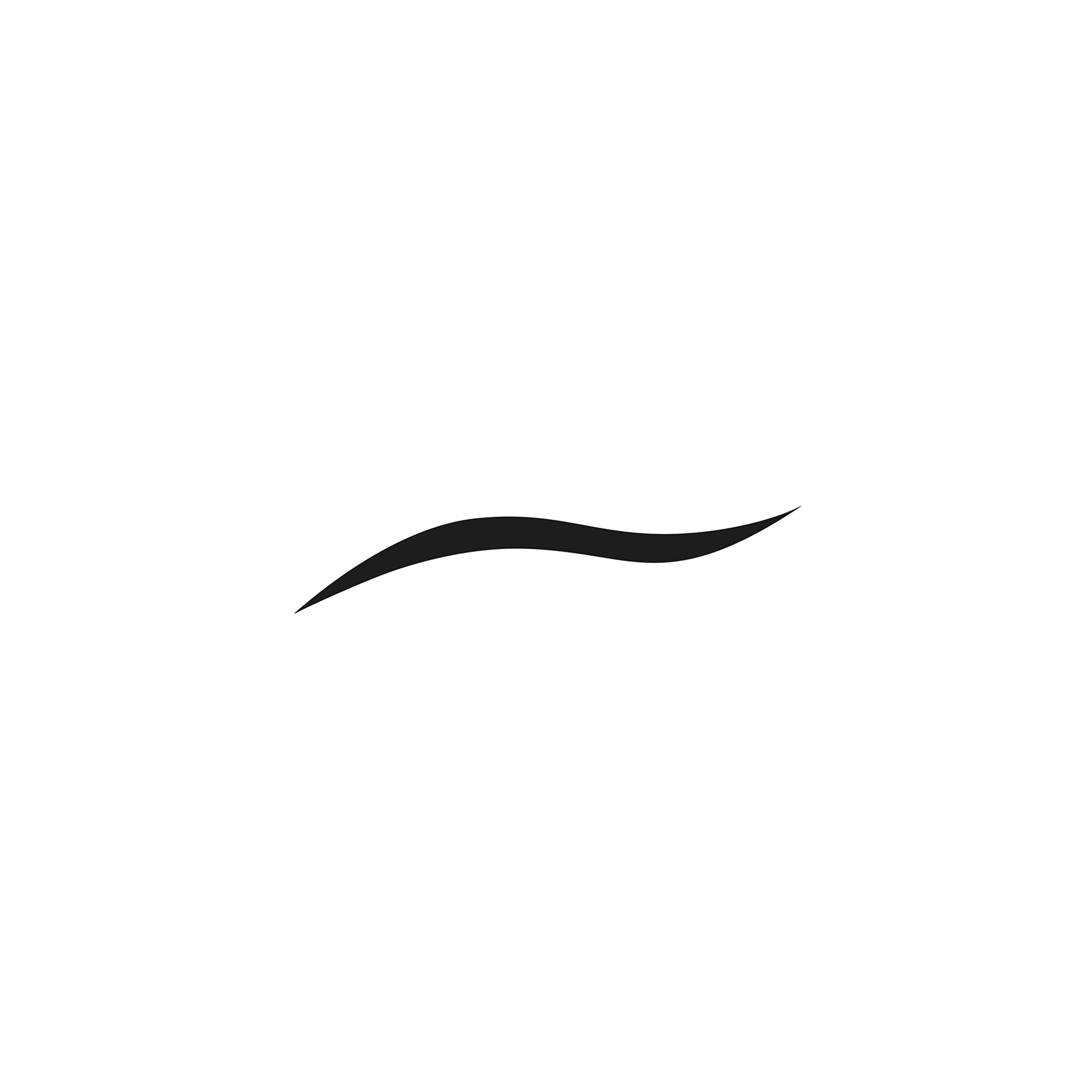KIKO Milano Lasting Gel Eyeliner | Gel eyeliner Halalzen