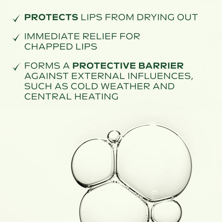 Weleda Skin Food Lip Balm, Very Dry & Chapped Lips, Natural Oils, Intensive Nourishment, For Men & Women, 100% Certified Natural, Travel Size, Organic, Vegetarian, 8ml Halalzen