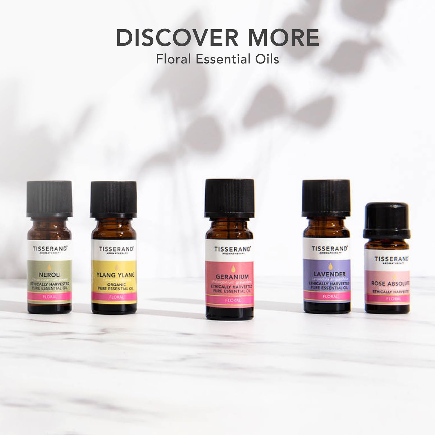 Tisserand Aromatherapy,Lavender - Organic Essential Oil,Massage Oil, Aromatherapy Oil, Skin Oil, Oil for Diffuser,100% Pure Essential Oil - 9ml