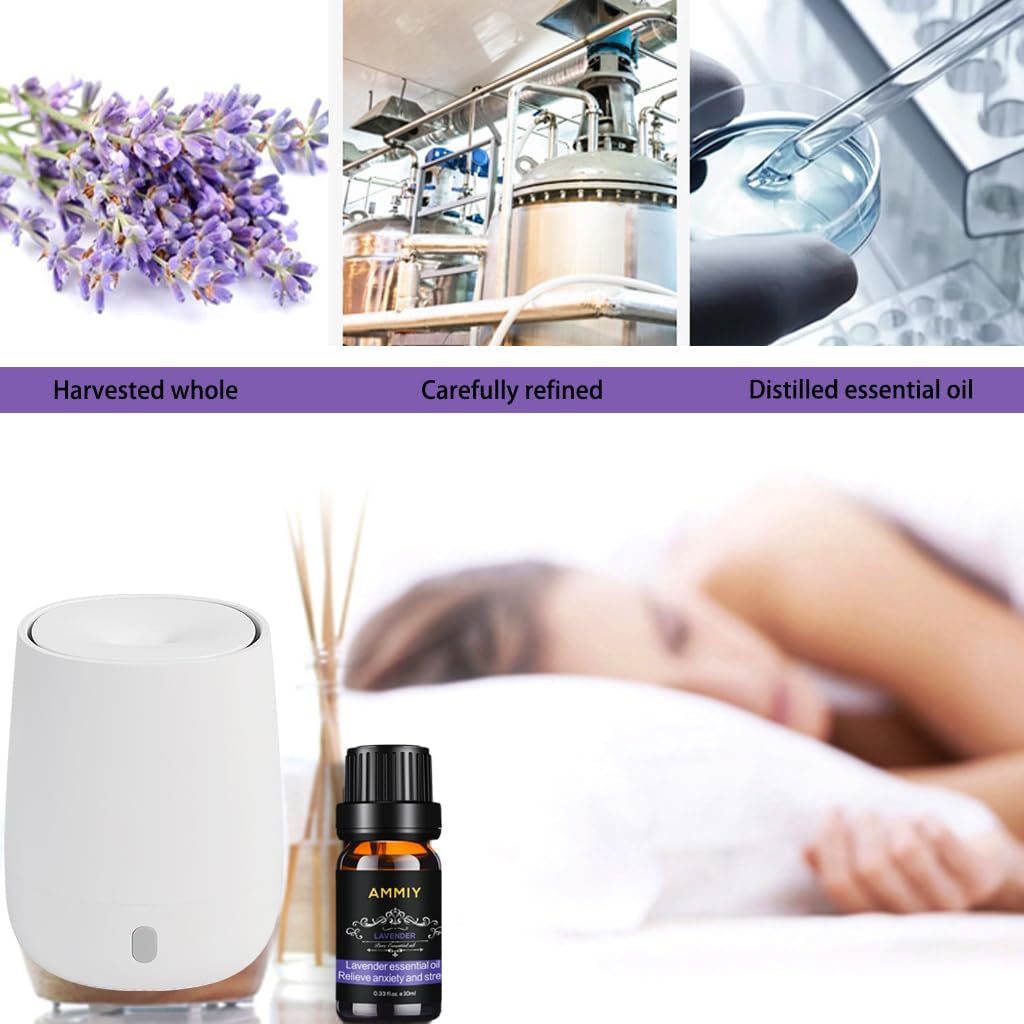 Essential Oils Gift Set, 10ml*Top 6 Relaxing Scents, Pure, Natural, Vegan Oils Including Eucalyptus, Lemon, Peppermint, Lavender, Sweet Orange and Tea Tree