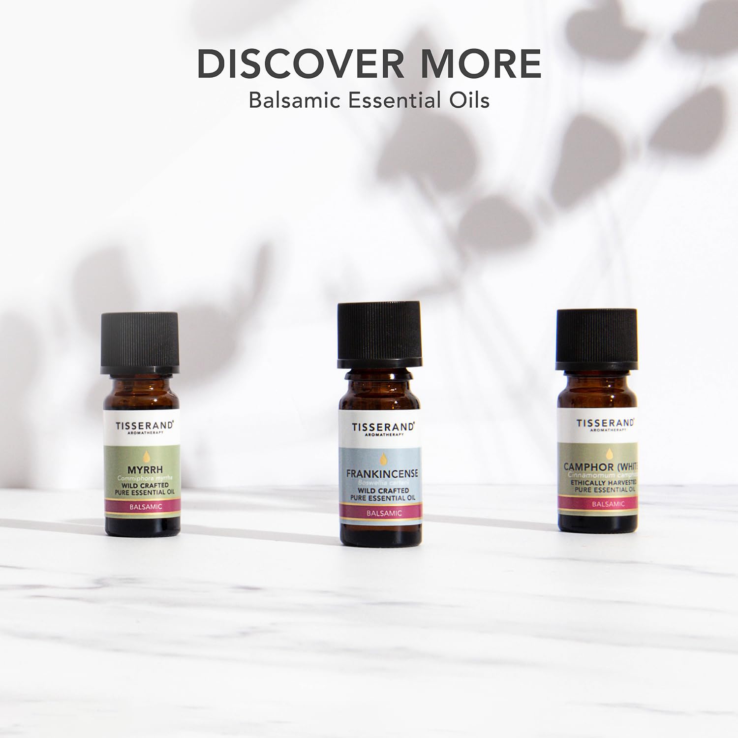 Tisserand Aromatherapy,Lavender - Organic Essential Oil,Massage Oil, Aromatherapy Oil, Skin Oil, Oil for Diffuser,100% Pure Essential Oil - 9ml