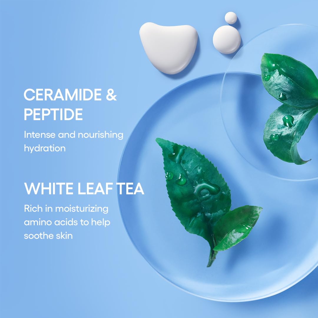 LANEIGE Cream Skin Toner & Moisturizer: Lightweight Refillable Korean Milky Toner with Ceramide & Peptide for Hydration, Firming, & Barrier Support
