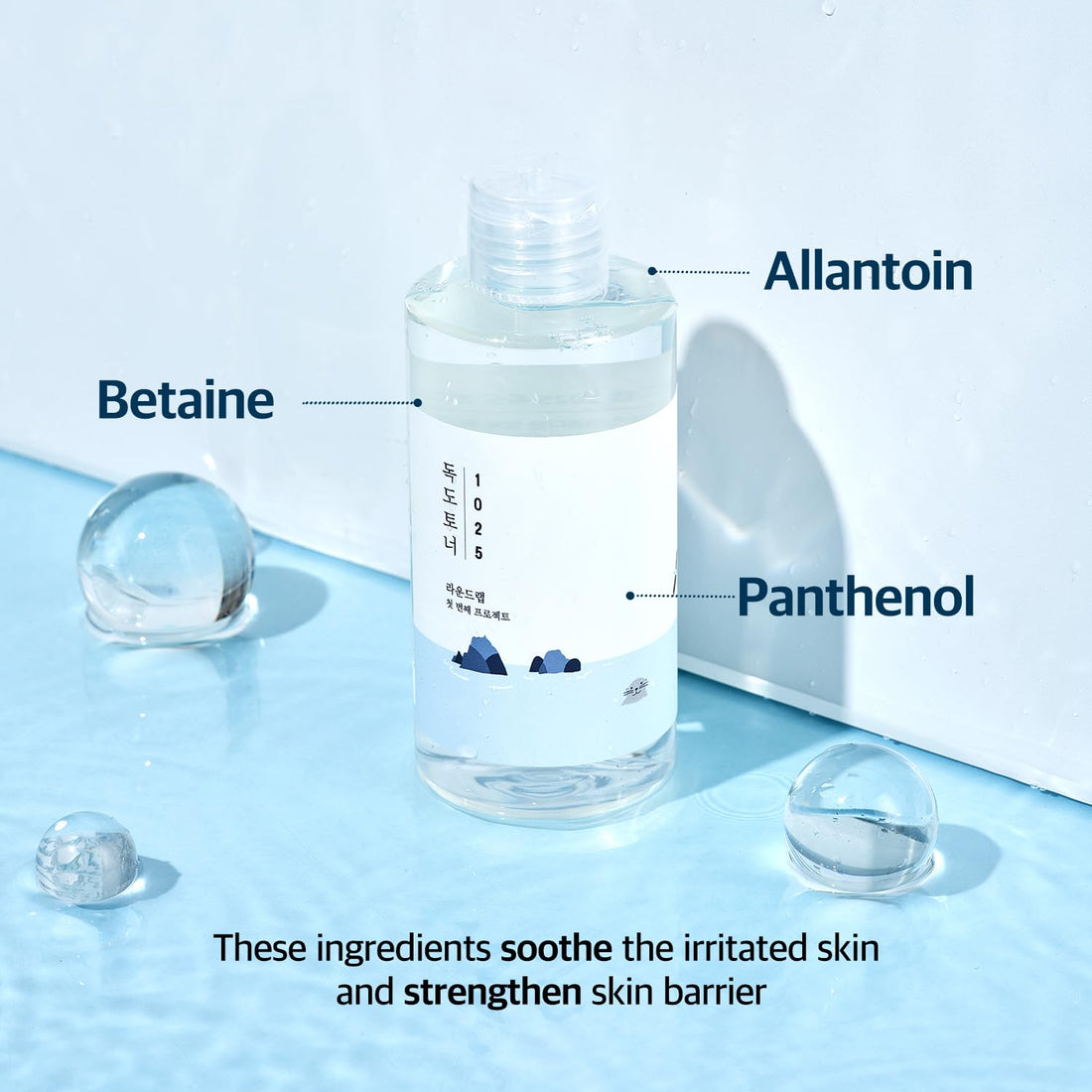 ROUND LAB 1025 Dokdo Toner (200ml), Oil Control and Reduces Excess Sebum, Gentle Exfoliating Facial Toner, Deep Sea Water for Moisturization, Soft Finish Without Stickiness, Korean Skin Care