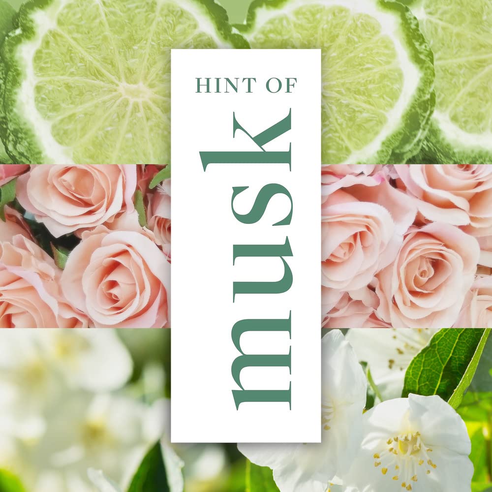 Impulse Hint Of Musk Body Spray Deodorant 150 ml Halalzen