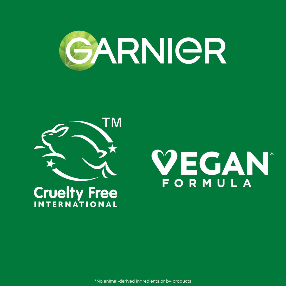 Garnier Pure Active Salicylic Purifying Gentle Face Cleanser, Enriched With Salicylic Acid, Niacinamide, Ceramides & Clay, Fragrance Free, Sulphate Free Formula, Suitable For Sensitive Skin, 250ml