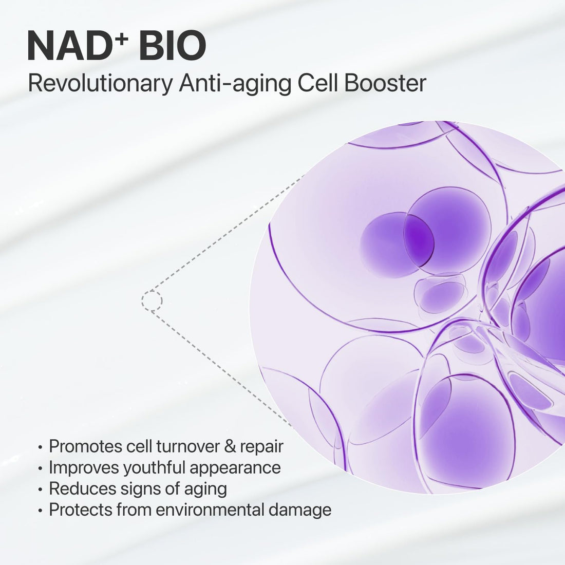 numbuzin No.9 Anti-Aging Essence with NAD+ & Peptides | Firming Serum for Wrinkles & Fine Lines | For Smoother, Radiant Skin | Serum | Korean Skincare | 50 ml (1.69 fl. oz.)