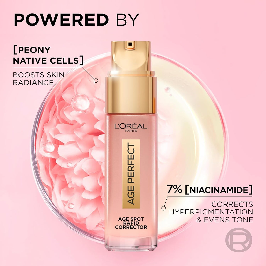 L'Oreal Paris Age Perfect Golden Age Rapid Spot Corrector for Mature Skin, Niacinamide and Exclusive Peony Native Cells, Reduces Appearance of Dark Spots, 50ml Halalzen