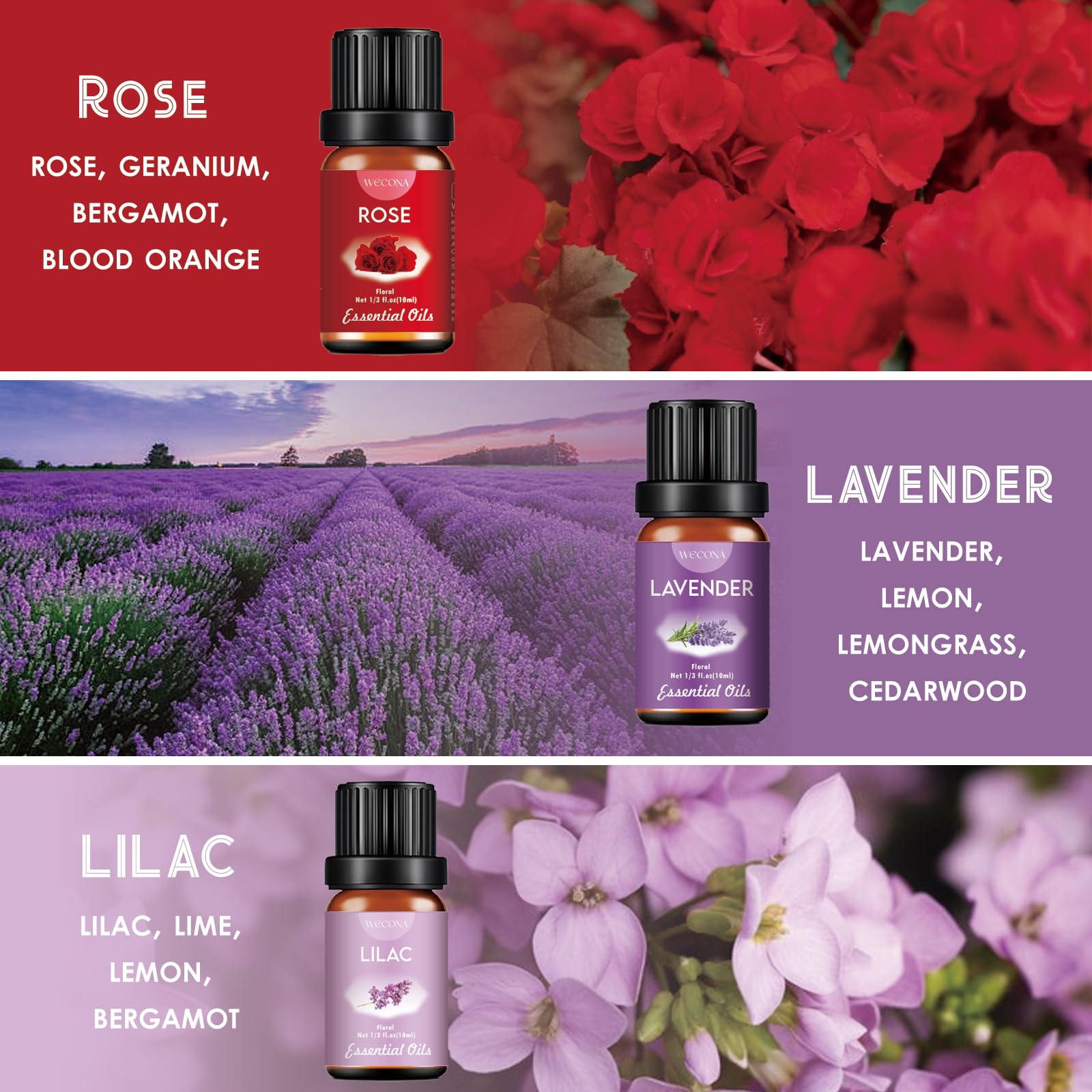 Premium Hotel Fragrance Oil Collection for Diffusers, Essential Oils for Diffusers for Home, Hotel Diffuser Fragrance Oils,Spa & Candle Making, White Tea, Citrus Luxe, Velvet Night and More - 6x10ml