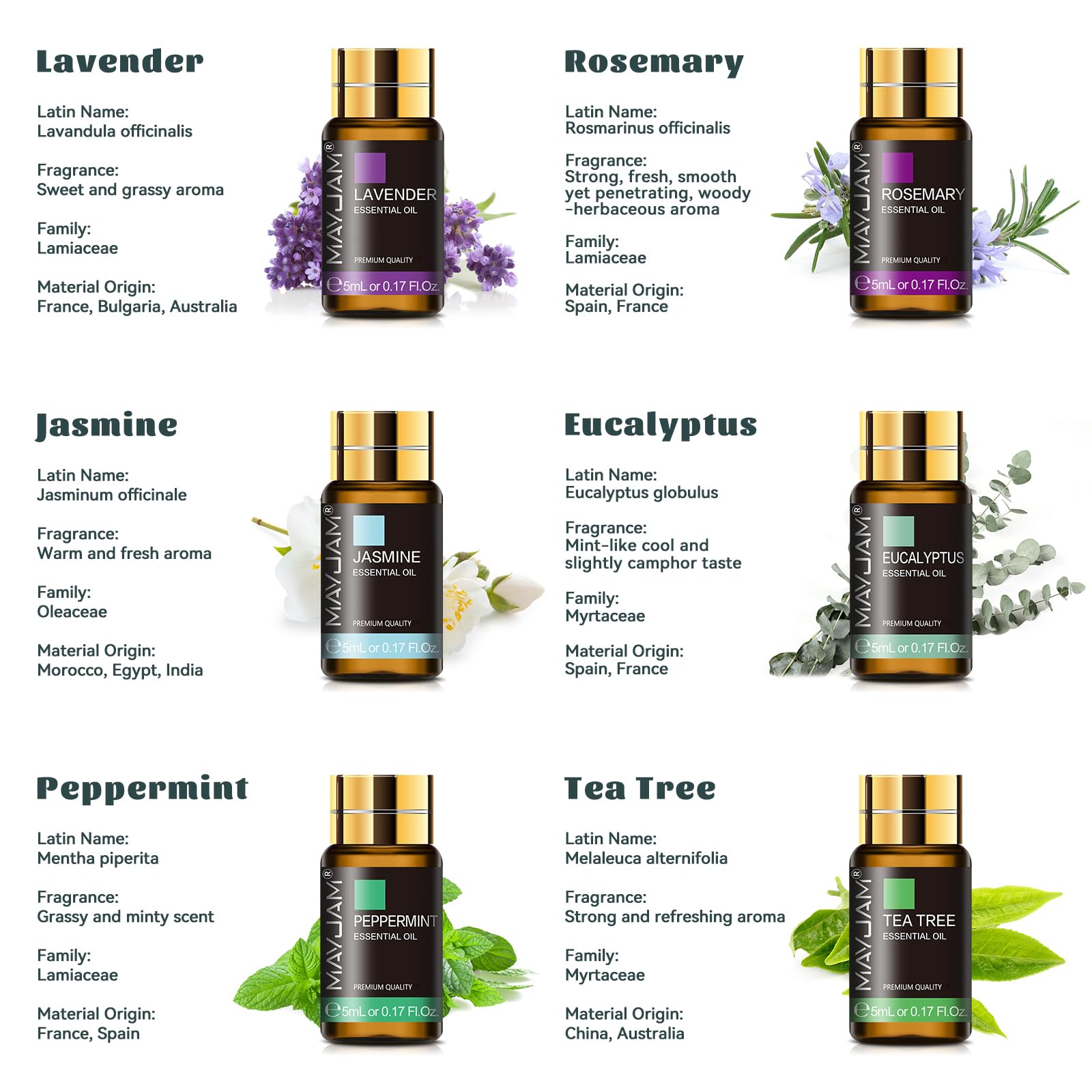 MAYJAM Essential Oils Set 35 x 5 mL - Essential Oils Gift Set for Humidifier, Diffusers, Home, DIY