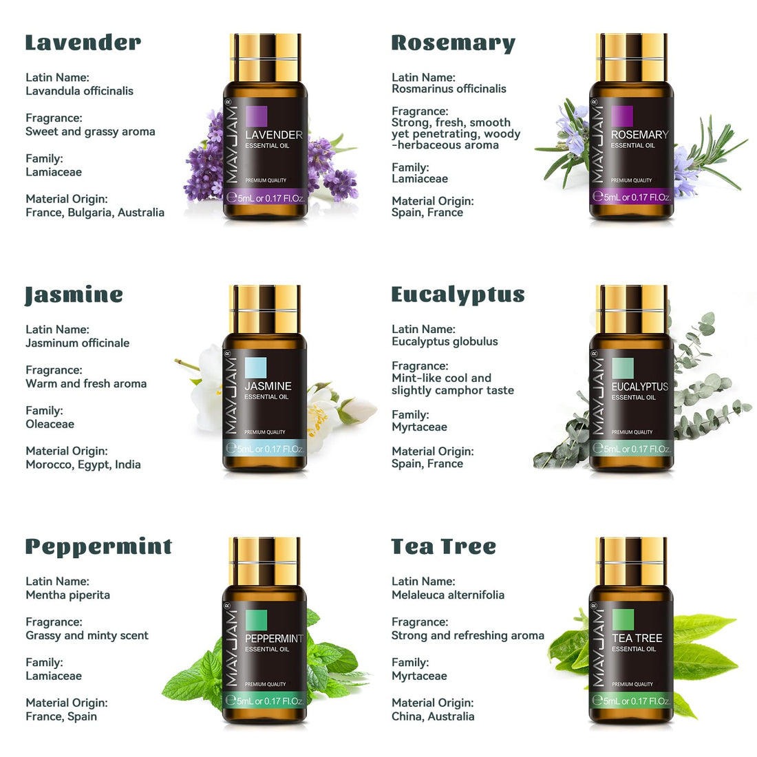 MAYJAM Essential Oils Set 35 x 5 mL - Essential Oils Gift Set for Humidifier, Diffusers, Home, DIY