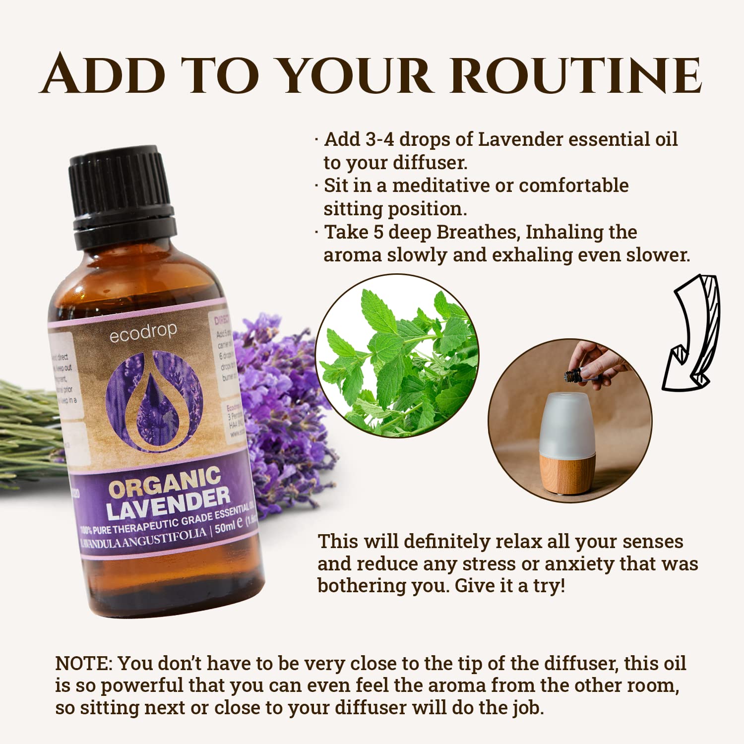 Ecodrop Tea Tree Essential Oil, 10 ml | 100% Pure Organic Steam-Distilled | Melaleuca Alternifolia | Aromatherapy, Diffuser, Massage, Bath, Soap & Candle Making | Australian Fresh Aroma