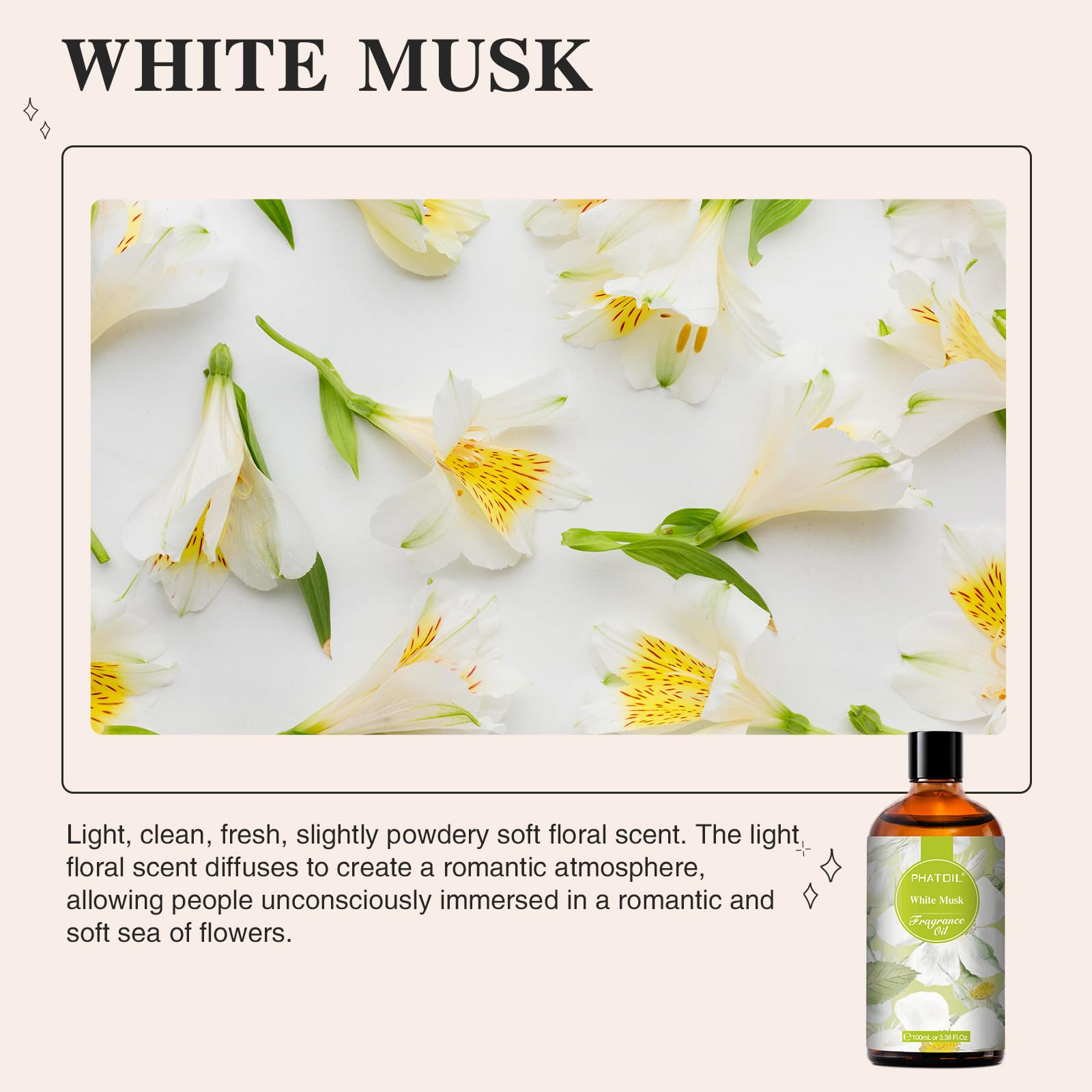 PHATOIL Coconut & Vanilla Fragrance Oils for Aromatherapy, Essential Oils for Diffusers for Home, Premium Quality Coconut & Vanilla Fragrance Essential Oil, Perfect for Diffuser, Relaxation - 100ml