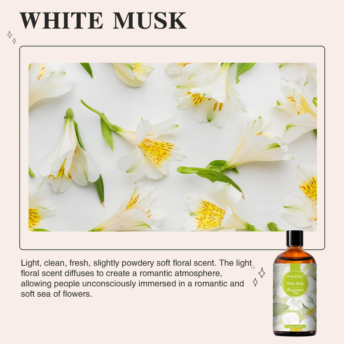 PHATOIL Coconut & Vanilla Fragrance Oils for Aromatherapy, Essential Oils for Diffusers for Home, Premium Quality Coconut & Vanilla Fragrance Essential Oil, Perfect for Diffuser, Relaxation - 100ml