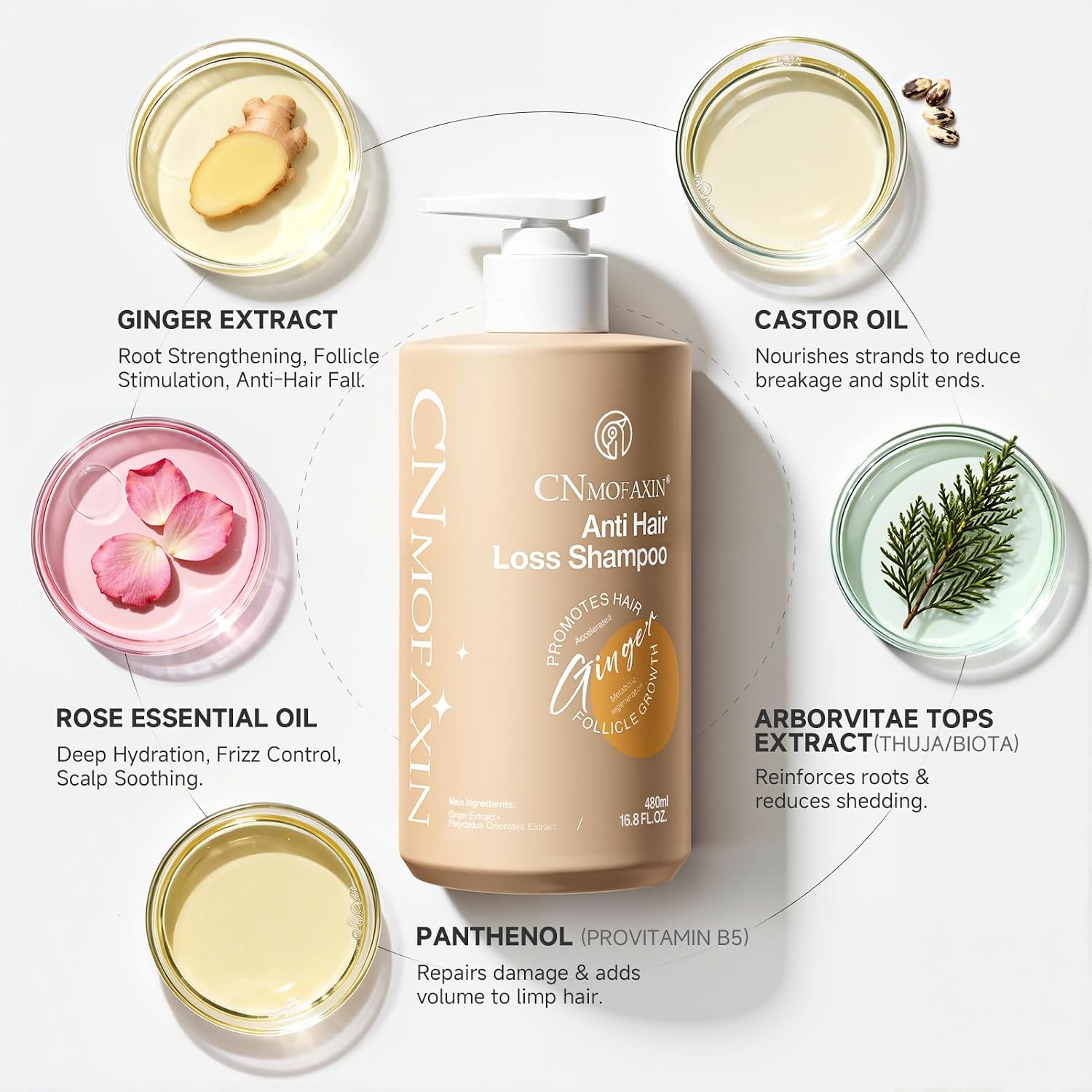 Anti Hair Loss Shampoo 480ml - Ginger Hair Growth & Castor Oil Strengthening Formula - Volumising Treatment with Rose Oil for Men & Women - Nourishes, Repairs & Thickens