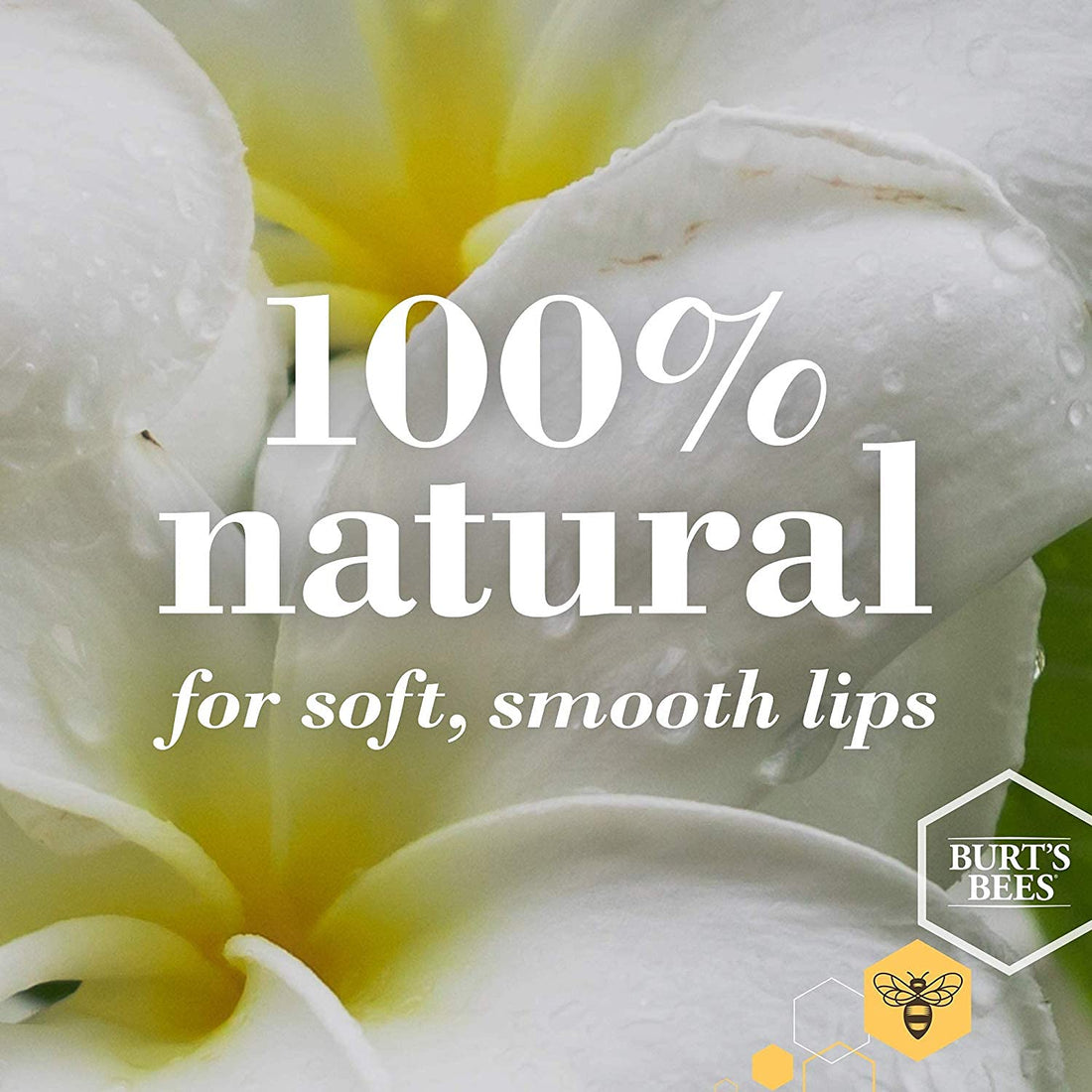 Burt's Bees Lip Balm Pomegranate, Moisturising Lip Balm With Beeswax & Vitamin E, 100% Natural Origin, 4.25g Halalzen