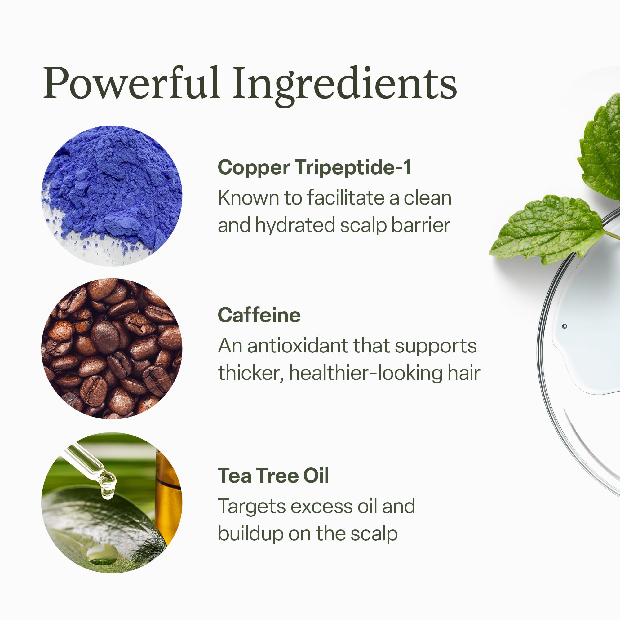 Divi Scalp Serum for Thinning Hair Clinically Tested, Non-Greasy Formula with Amino Acids, Caffeine & Rosemary Oil Promotes Healthy Scalp & Fuller-Looking Hair, Reduces Oil & Product Buildup