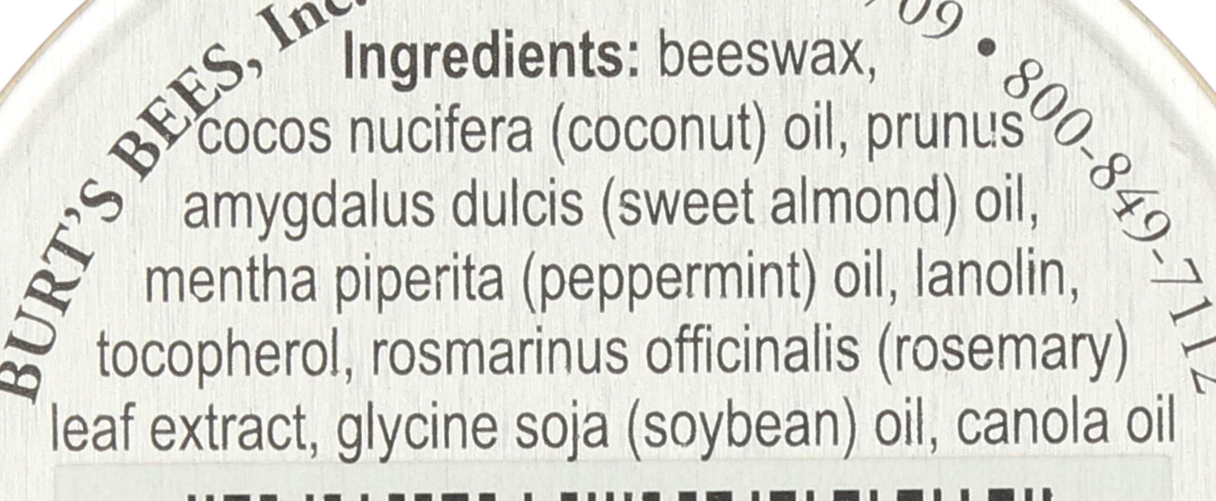 Burt's Bees Lip Balm Pomegranate, Moisturising Lip Balm With Beeswax & Vitamin E, 100% Natural Origin, 4.25g Halalzen