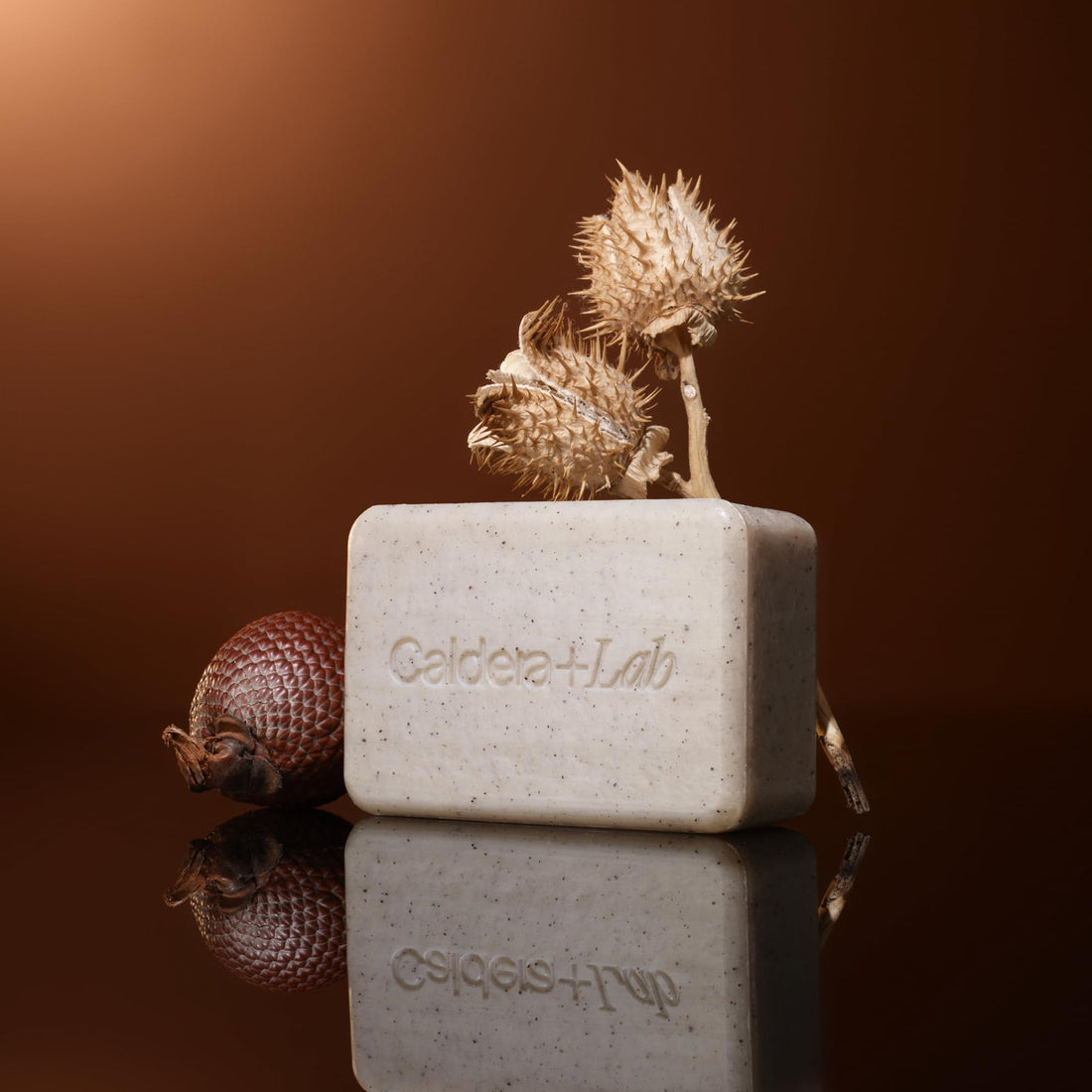 Caldera + Lab The Body Bar Exfoliating Soap– Certified, Vegan, Exfoliating and Organic Bar Soap with Antioxidant Botanicals
