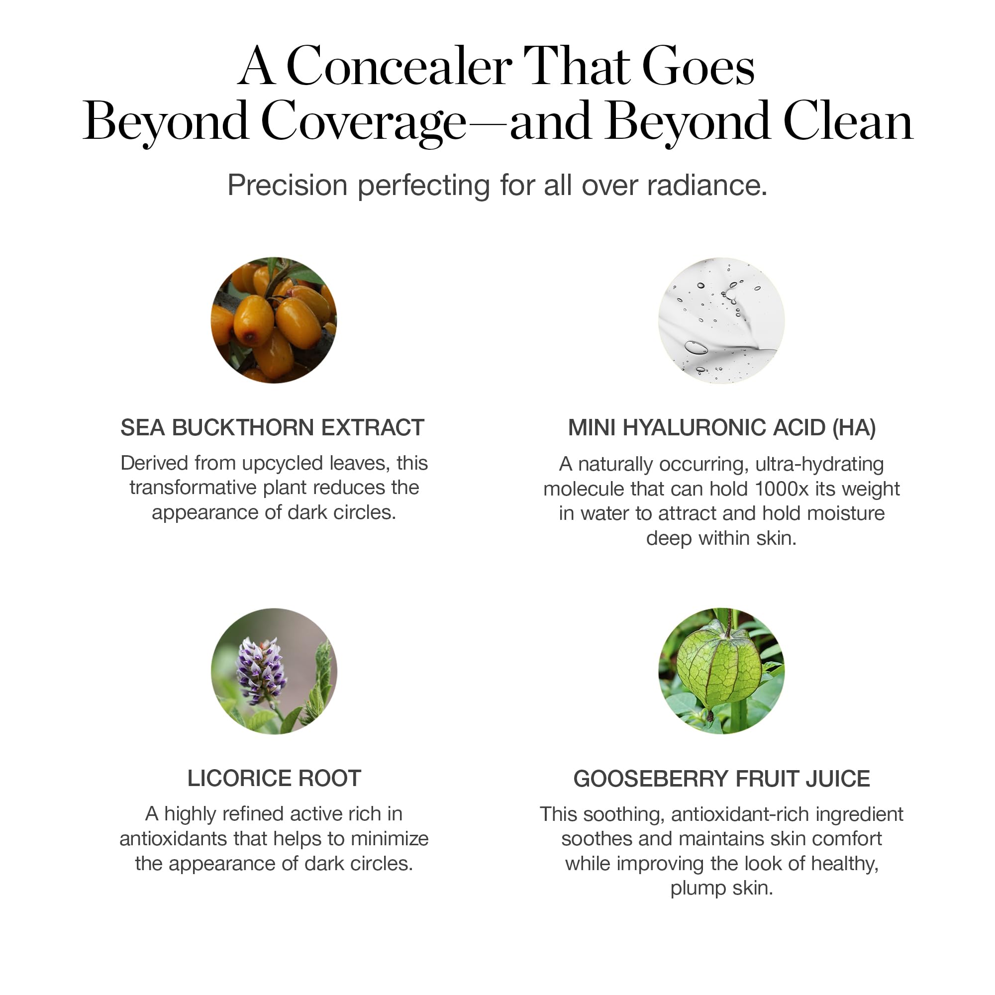 Ogee Complexion Perfecting Under Eye Concealer - Certified Organic Full Coverage Concealer - Buildable Coverage - GINGKO 5.00N - Medium Tan (Neutral Undertones)