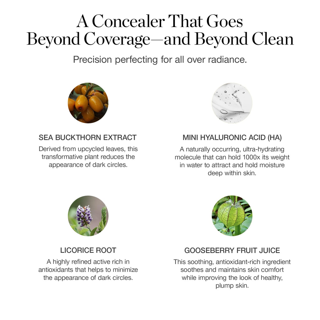 Ogee Complexion Perfecting Under Eye Concealer - Certified Organic Full Coverage Concealer - Buildable Coverage - GINGKO 5.00N - Medium Tan (Neutral Undertones)
