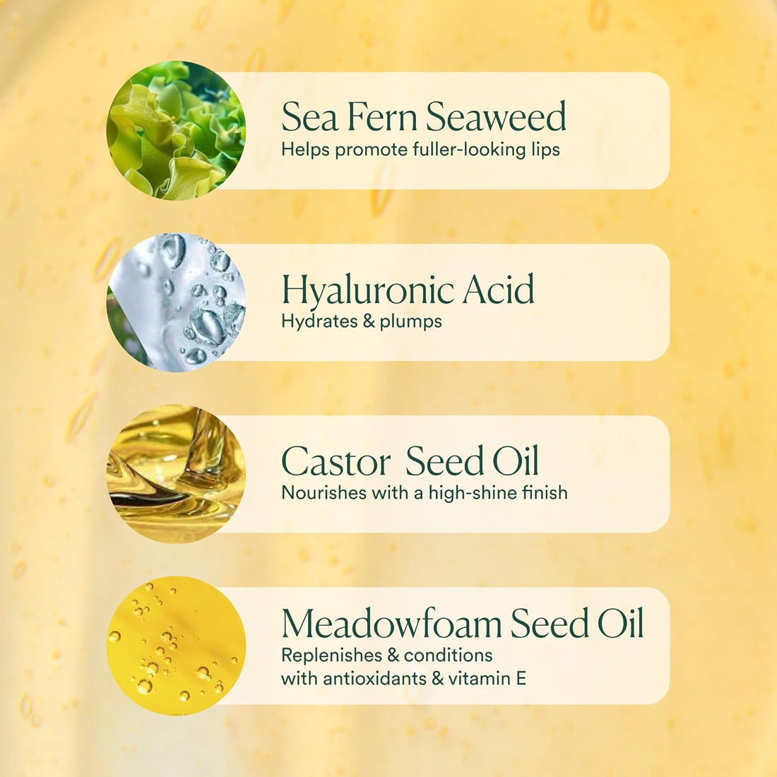 OSEA Hyaluronic Lip Oil Booster – Clean Beauty Lip Oil for Plump, Glossy, Hydrated Lips – Nourishing Seaweed & Meadowfoam Oil – Vegan, Non-Sticky, High-Shine Finish | Hydrates, Plumps, Smooths Halalzen
