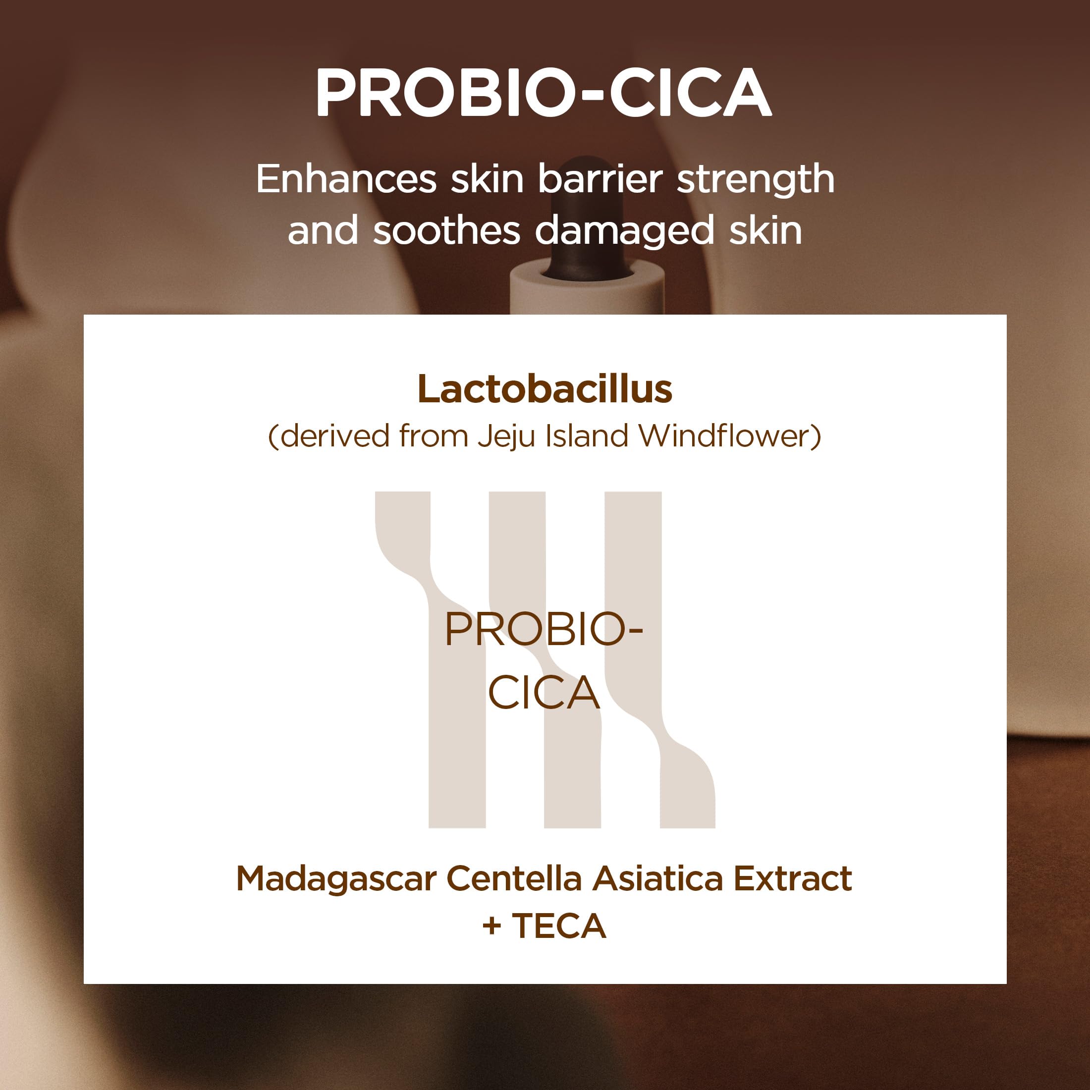 SKIN1004 Probio Cica Intensive Ampoule, Centella Serum for Face with Ceramide, Facial Serum for Nourishing & Soothing, Centella Ampoule for Skin Barrier Support, Korean Skin Care, 1.69fl.oz / 50ml Halalzen