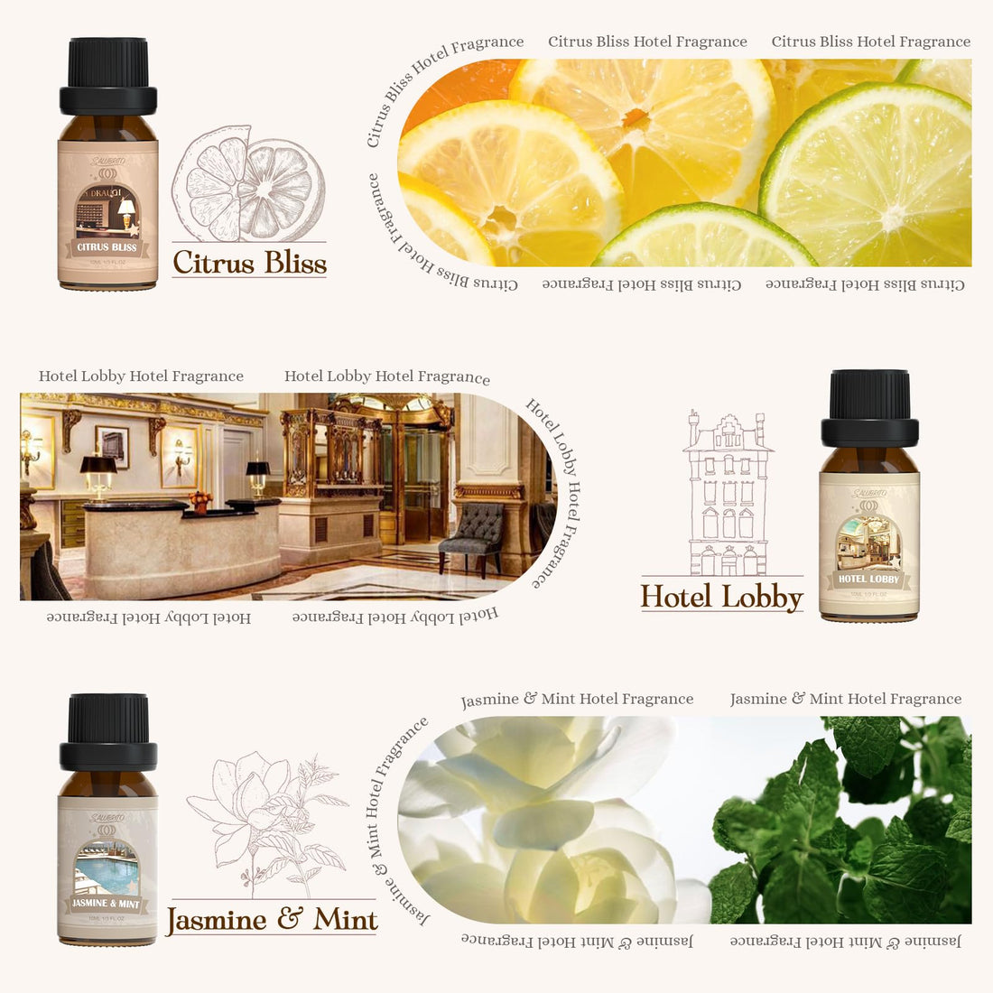SALUBRITO Clean Essential Oils Set, Fresh Cotton, Clean Home, Fresh Linen, Soft Powder, Blossom Soap, Mint Scented Oils for for Diffuser, Candle, Soap Making