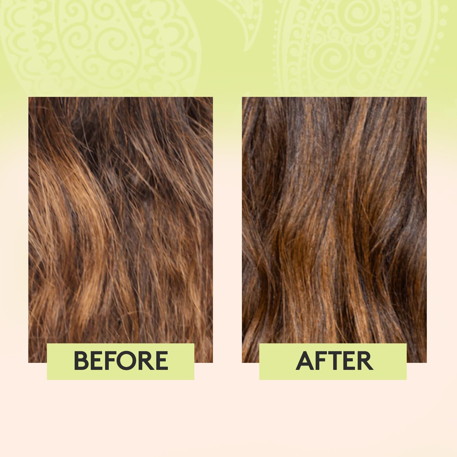 Delhicious Amla Hair Oil & Rosemary Oil Conditioner for Hair Growth - Rich Roots Vegan Conditioner for Thinning Hair, Damaged Hair, Dry Scalp - Shea Butter & Argan Oil - Ayurveda, Sulphate Free, 250ml