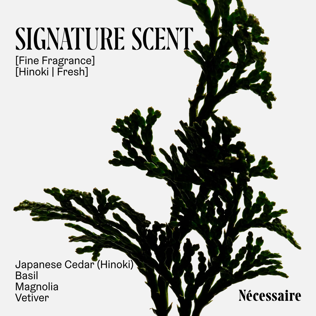 Nécessaire The Body Wash Eucalyptus — Multi-Oil Shower Gel Body Wash for Women + Men. Non-Comedogenic + Hypoallergenic for Sensitive Skin with Niacinamide. 500ml/16.9 fl oz
