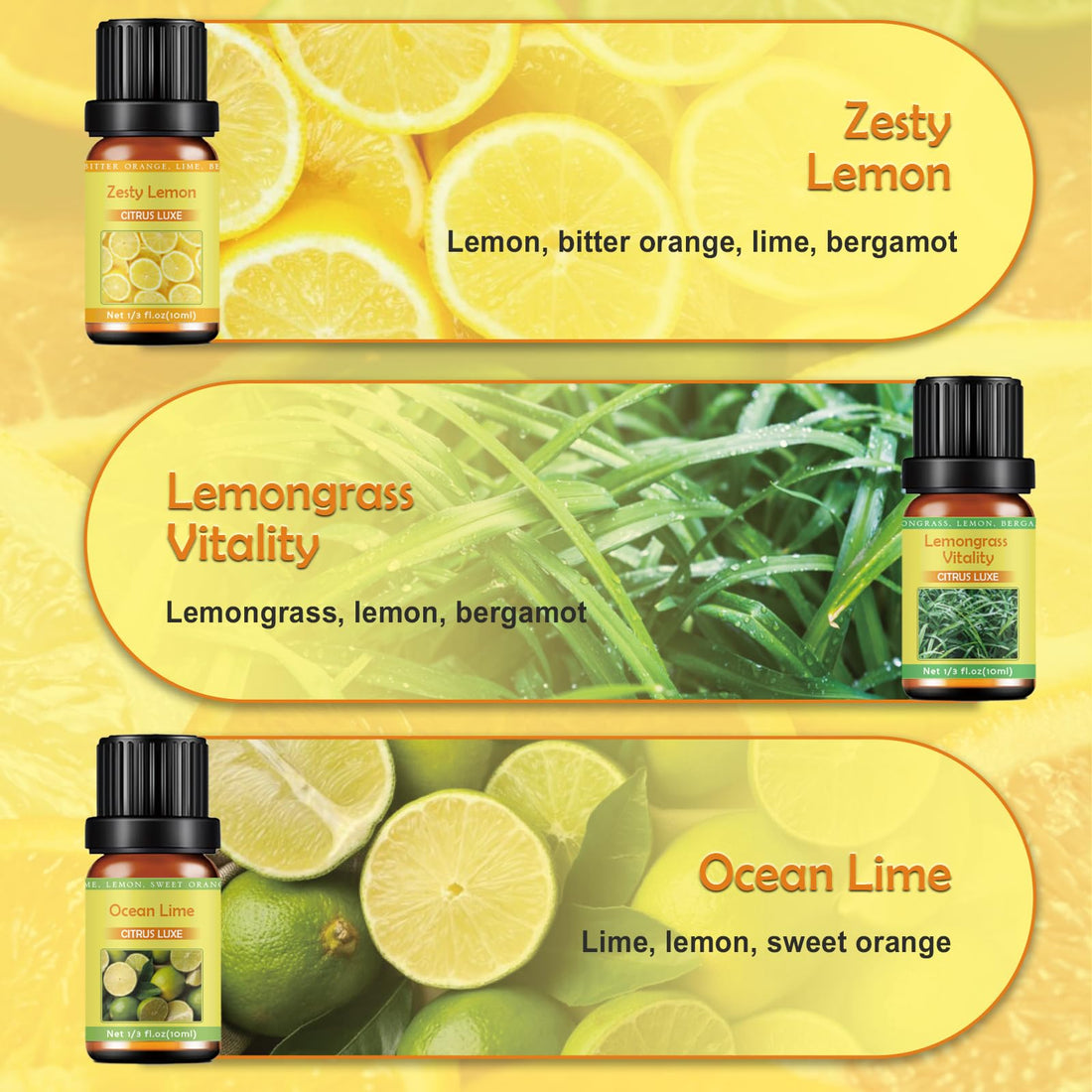Premium Hotel Fragrance Oil Collection for Diffusers, Essential Oils for Diffusers for Home, Hotel Diffuser Fragrance Oils,Spa & Candle Making, White Tea, Citrus Luxe, Velvet Night and More - 6x10ml