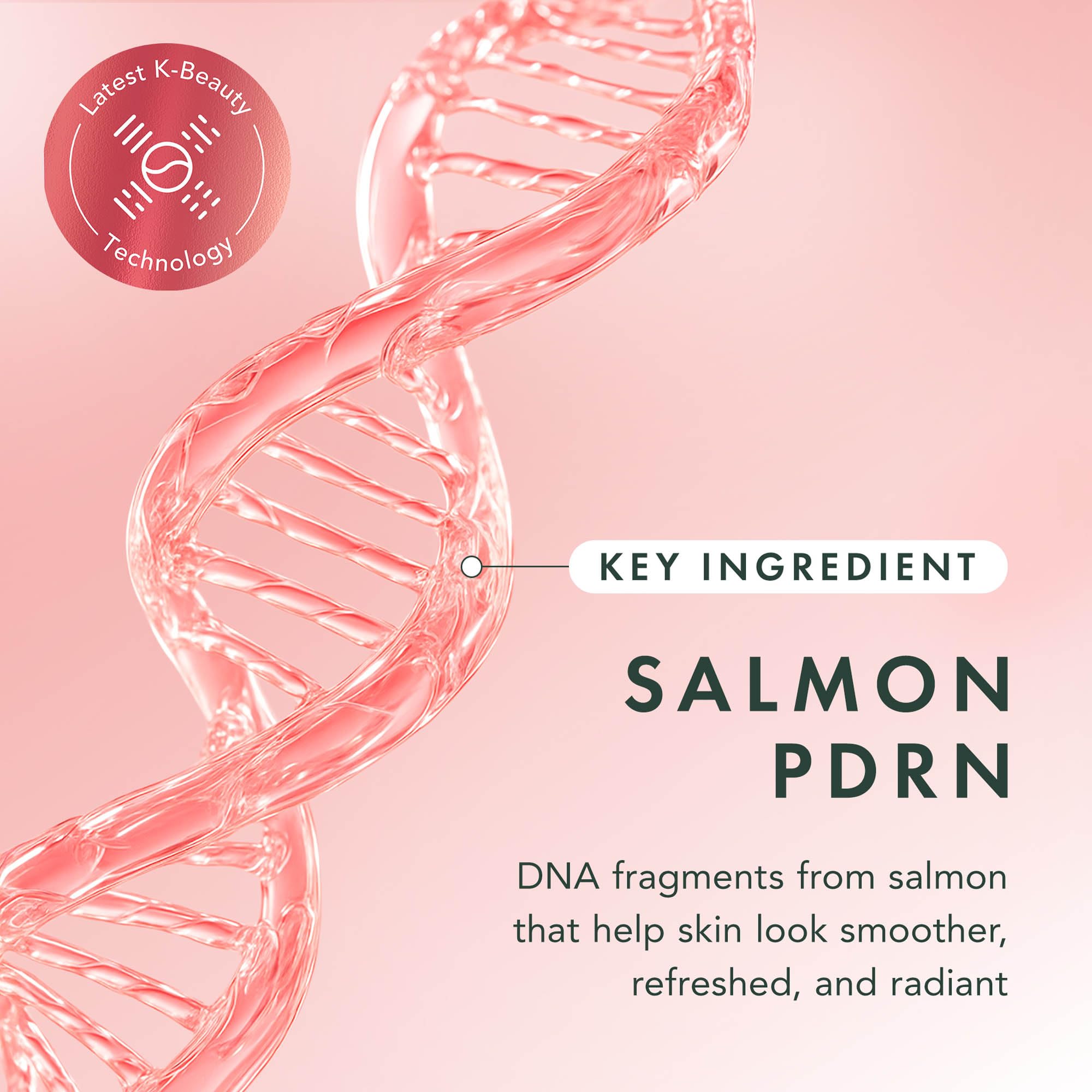 Rael Beauty Collagen + PDRN Face Masks - Korean Skincare for Glass Skin, Smoothing, Salmon PDRN & Hydrolyzed Collagen & Hyaluronic Acid, Anti-Slip Grip, Fragrance & PEGs & Cruelty Free (4 Sheets)