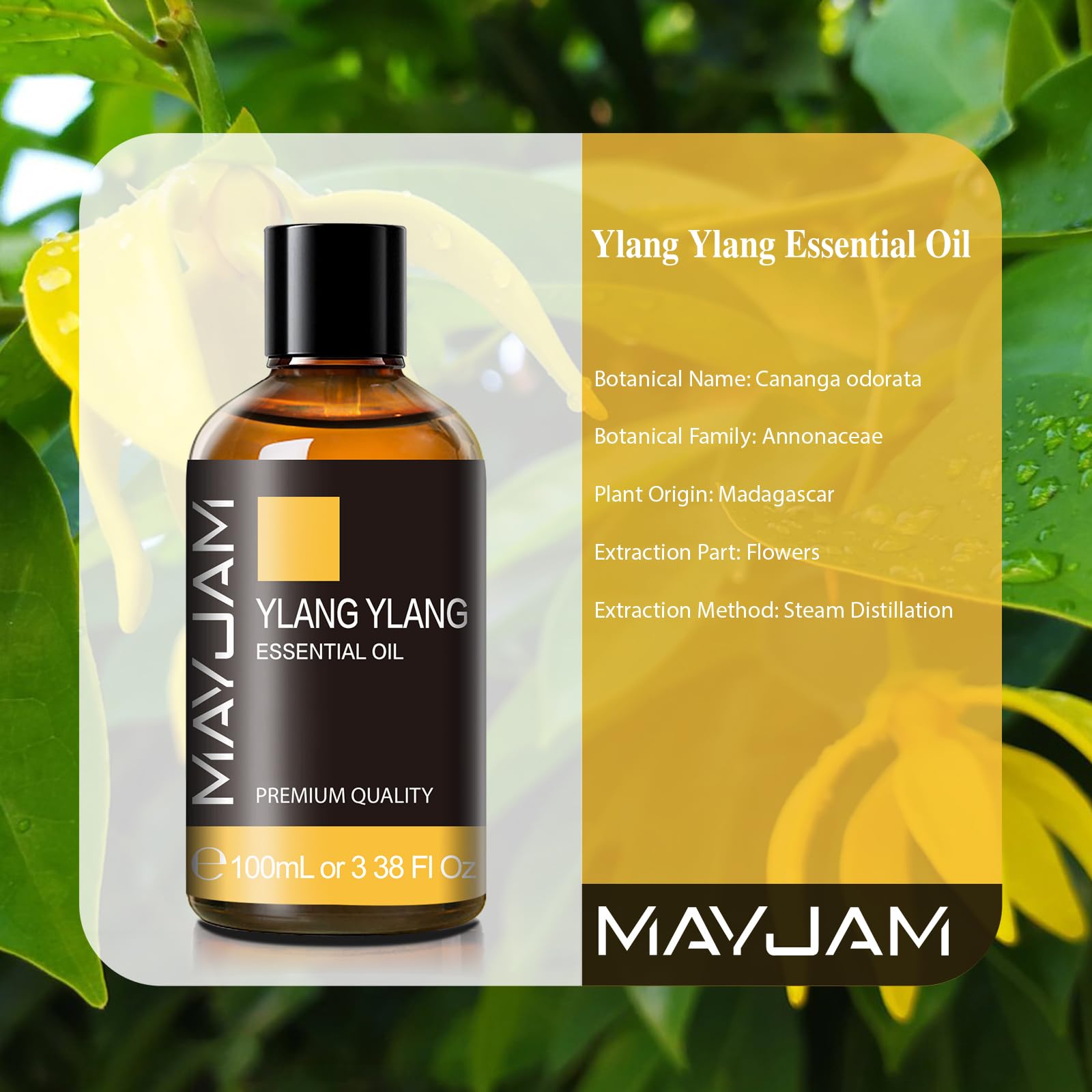 MAYJAM Sandalwood Essential Oils 100ML, Sandalwood Oil for Diffuser, Humidifier, DIY, Home, Office