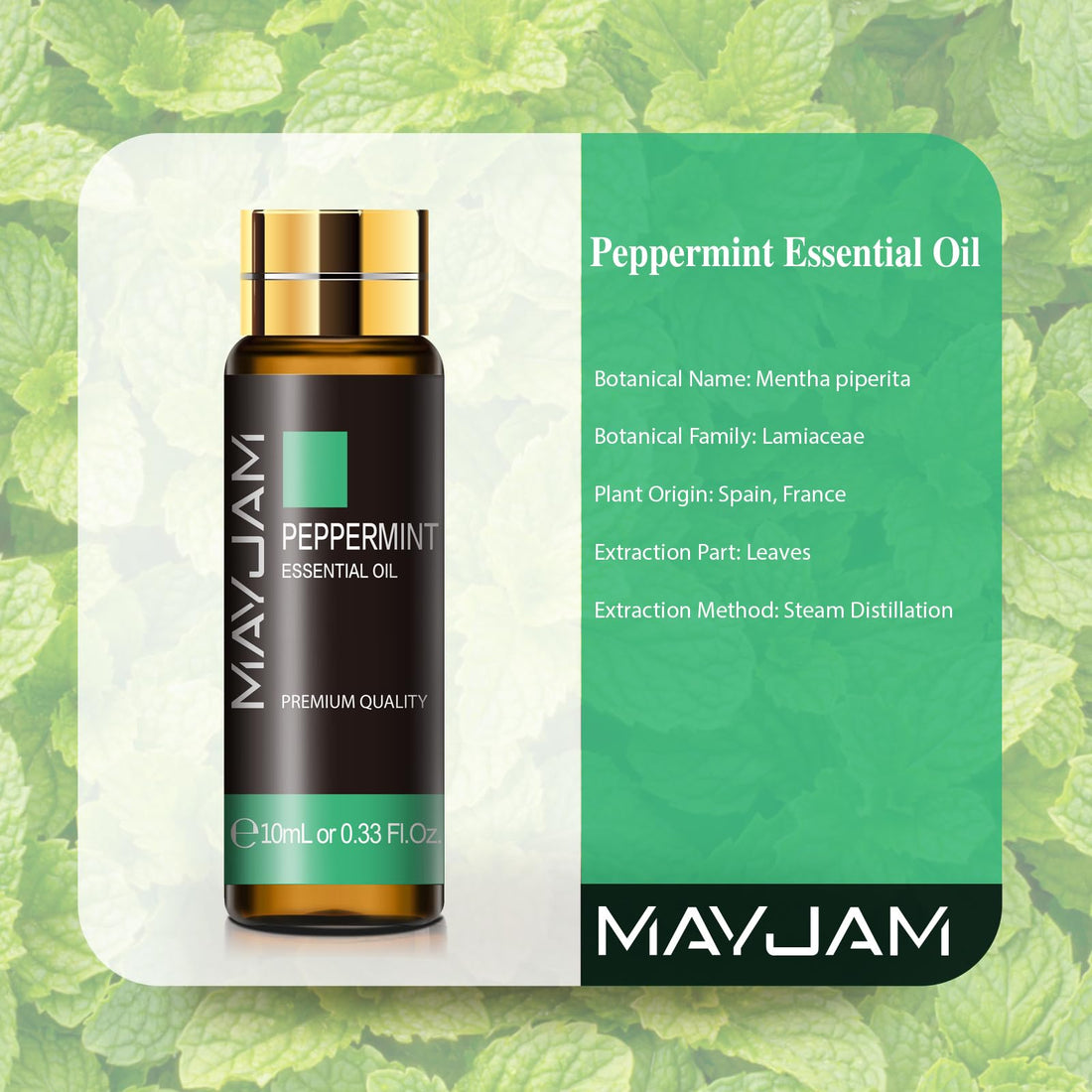 MAYJAM Sandalwood Essential Oils 100ML, Sandalwood Oil for Diffuser, Humidifier, DIY, Home, Office
