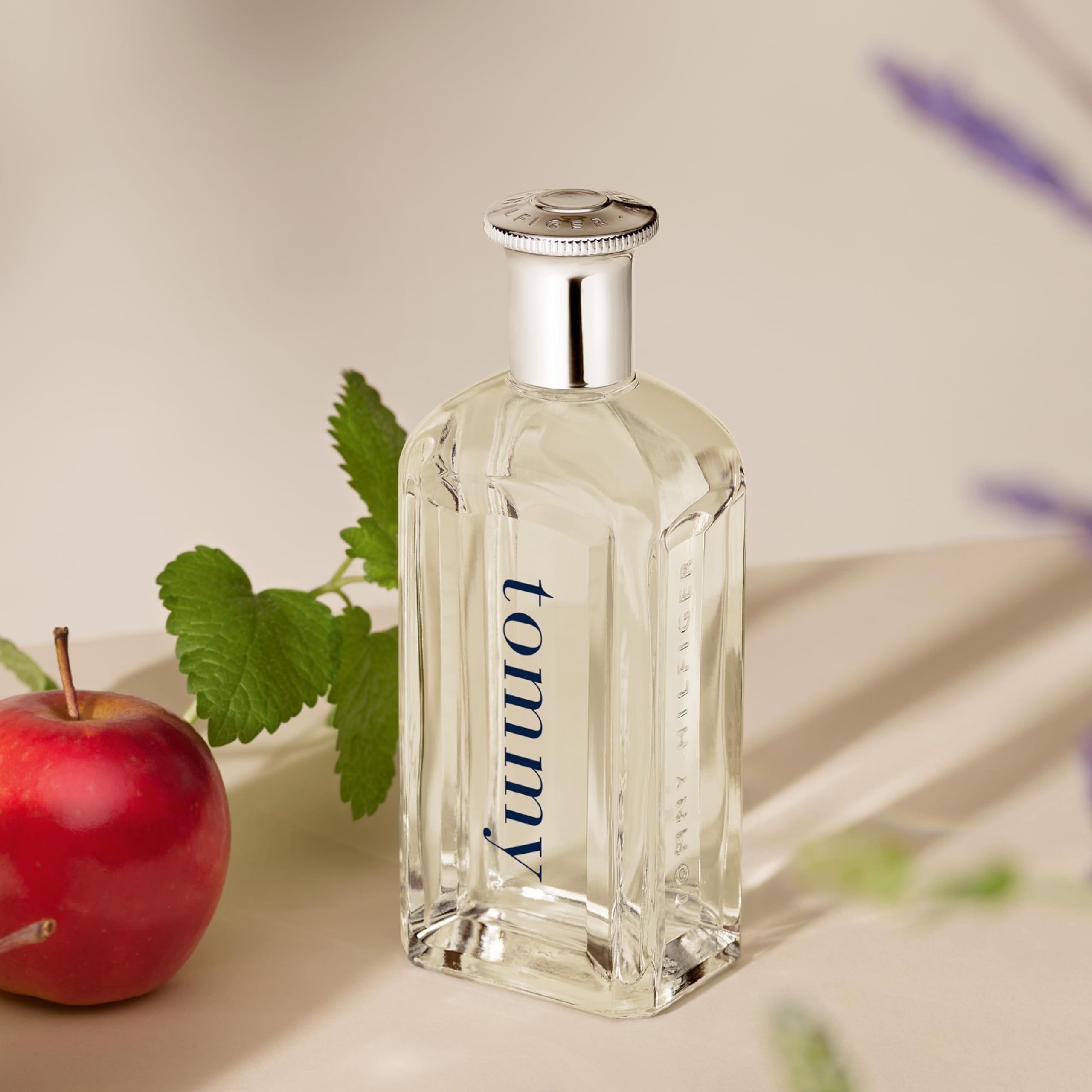 Tommy Hilfiger – Tommy Eau de Toilette 100 ml – Perfume for Men – Fougère Fragrance – Citrus and Fruity Notes – Transparent Glass Bottle