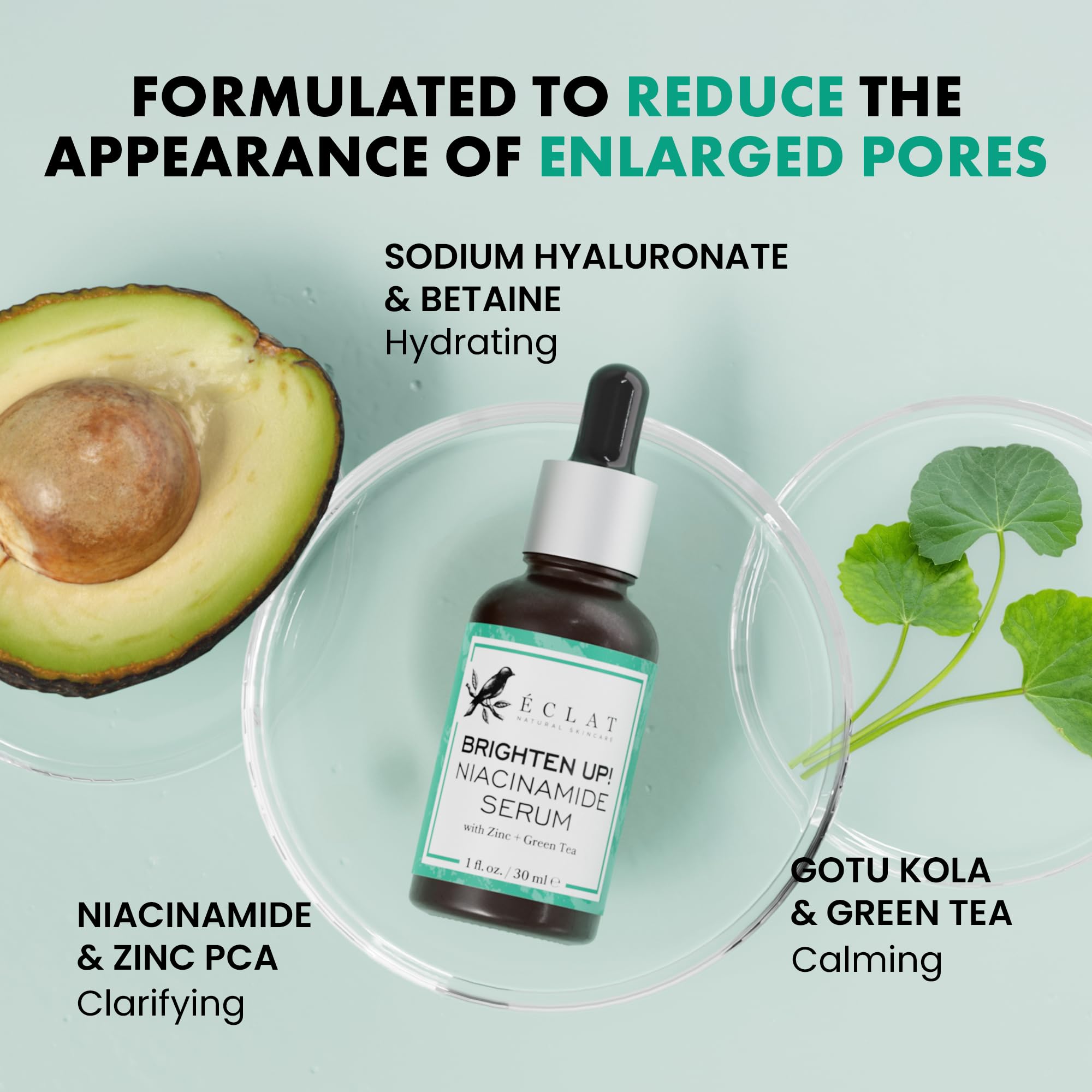 Eclat Skincare Hyaluronic Acid Serum for Face – 2.5% Hyaluronic Acid + 3% B5, Vitamin C & E - Hydrating Anti Aging & Anti Wrinkle Face Serum - Moisturizing & Plumping Formula for Smooth Skin 30 ml