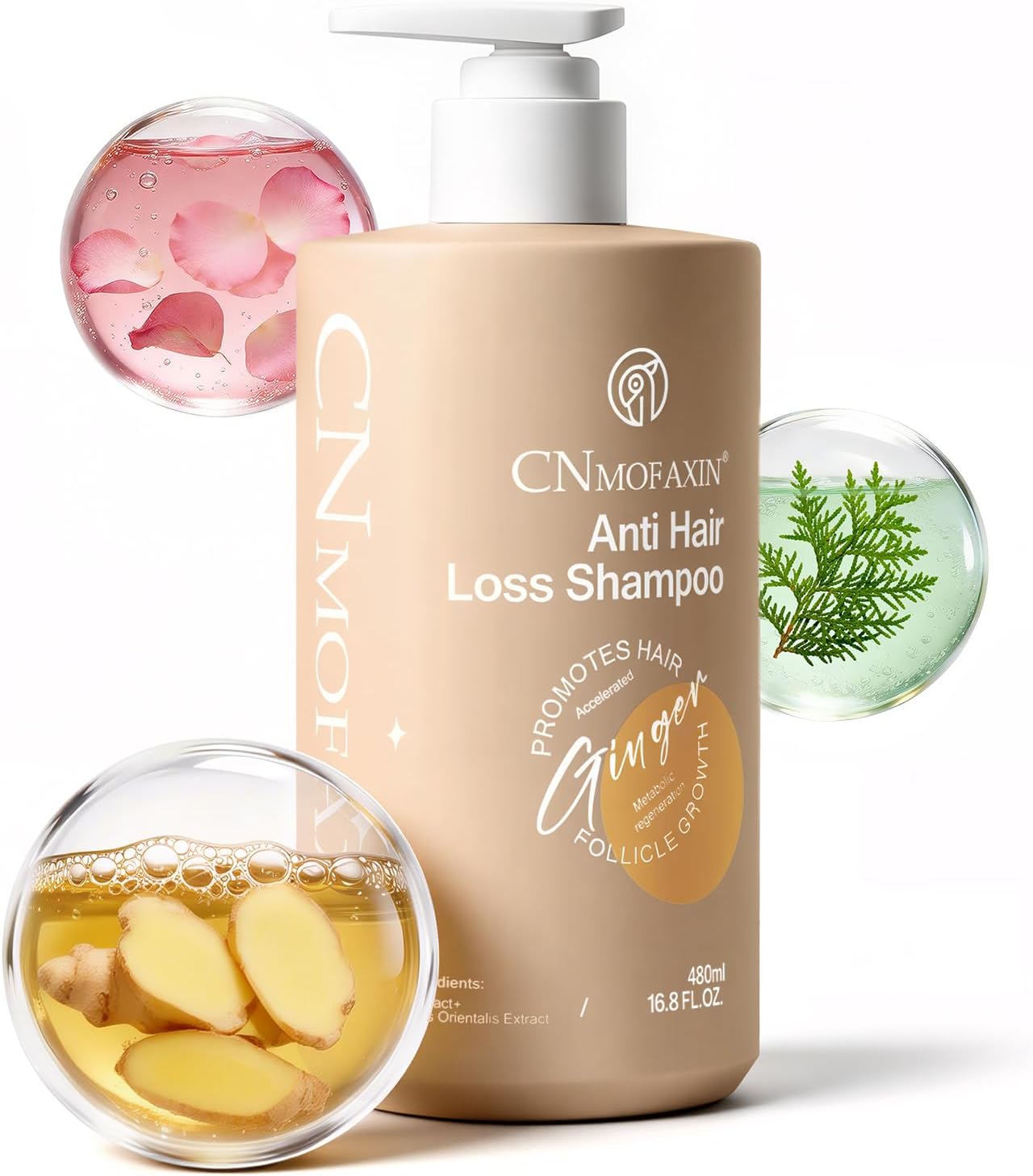 Anti Hair Loss Shampoo 480ml - Ginger Hair Growth & Castor Oil Strengthening Formula - Volumising Treatment with Rose Oil for Men & Women - Nourishes, Repairs & Thickens