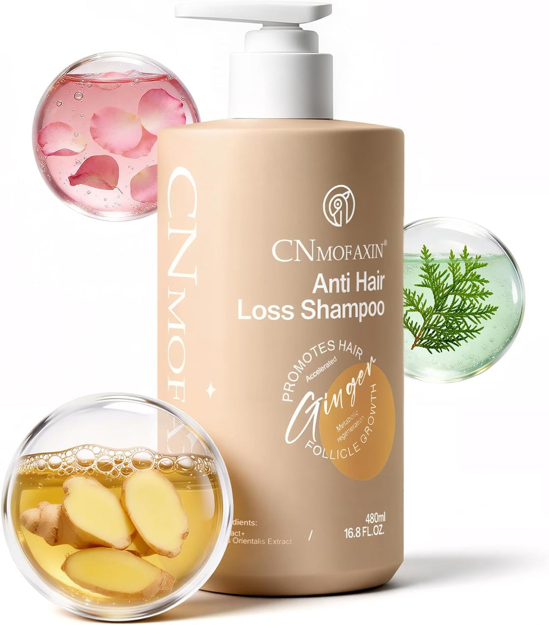 Anti Hair Loss Shampoo 480ml - Ginger Hair Growth & Castor Oil Strengthening Formula - Volumising Treatment with Rose Oil for Men & Women - Nourishes, Repairs & Thickens