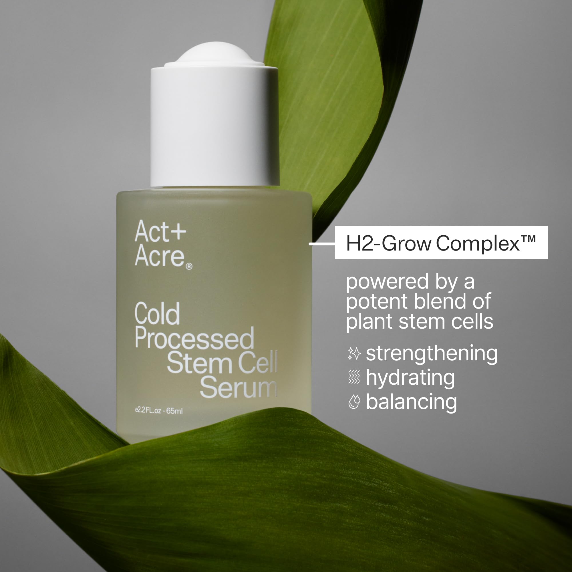 Act+ Acre Cold Processed Stem Cell Scalp Serum | For Thicker, Fuller Looking Hair | Apple Stem Cells, Bamboo Extract, Aloe Vera | Strengthen, Hydrate, Reduce Shedding | Vegan, Color Safe | 2.2 Fl Oz