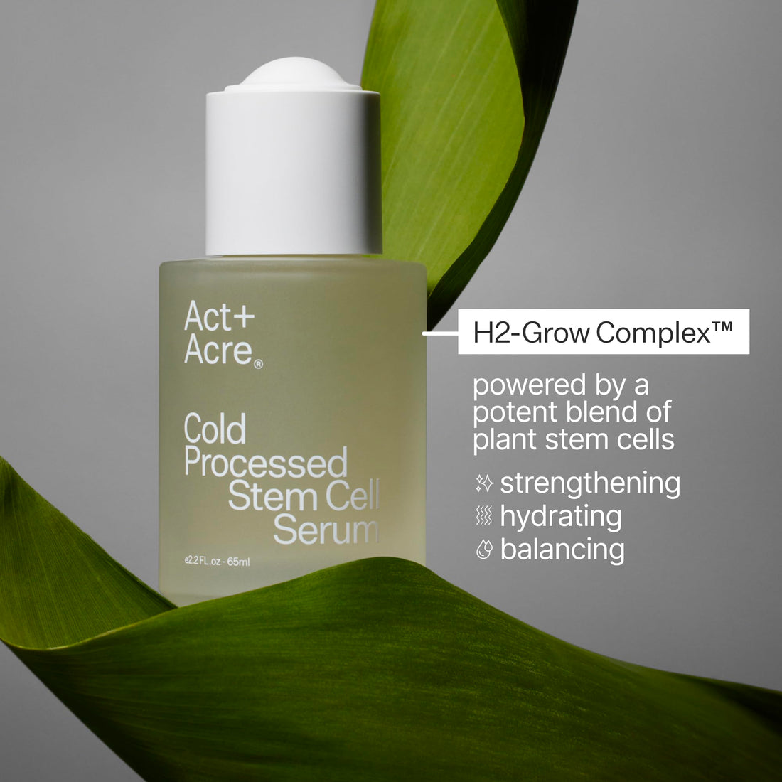 Act+ Acre Cold Processed Stem Cell Scalp Serum | For Thicker, Fuller Looking Hair | Apple Stem Cells, Bamboo Extract, Aloe Vera | Strengthen, Hydrate, Reduce Shedding | Vegan, Color Safe | 2.2 Fl Oz
