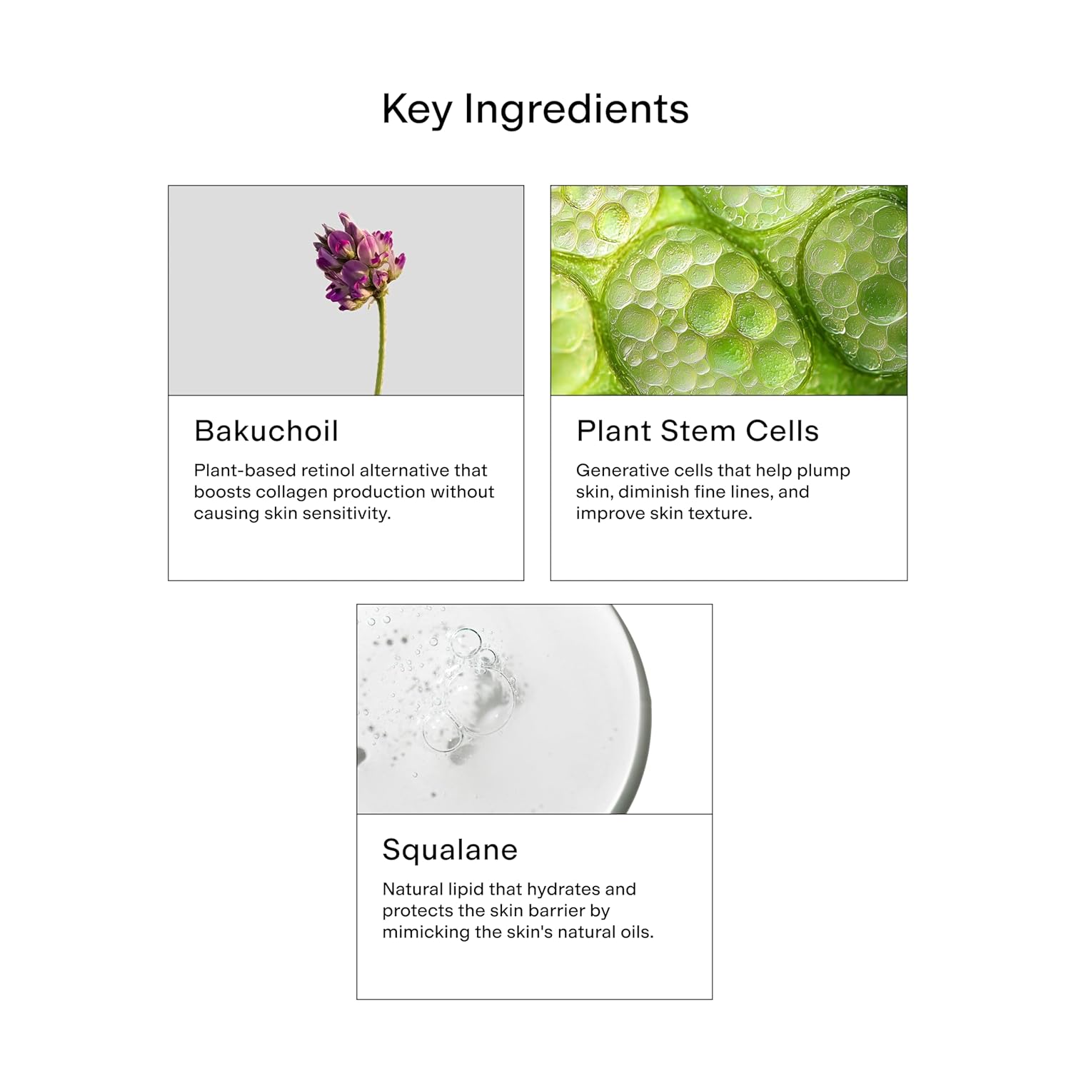 CLEARSTEM - HYDRAGLOW Stem Cell Moisturizer - Bakuchiol + Squalene - Youthful Skin Face Moisturizer - All Skin Types - Facial Skin Care Products - Gluten Free, Cruelty Free - 2 fl oz / 60ml Halalzen