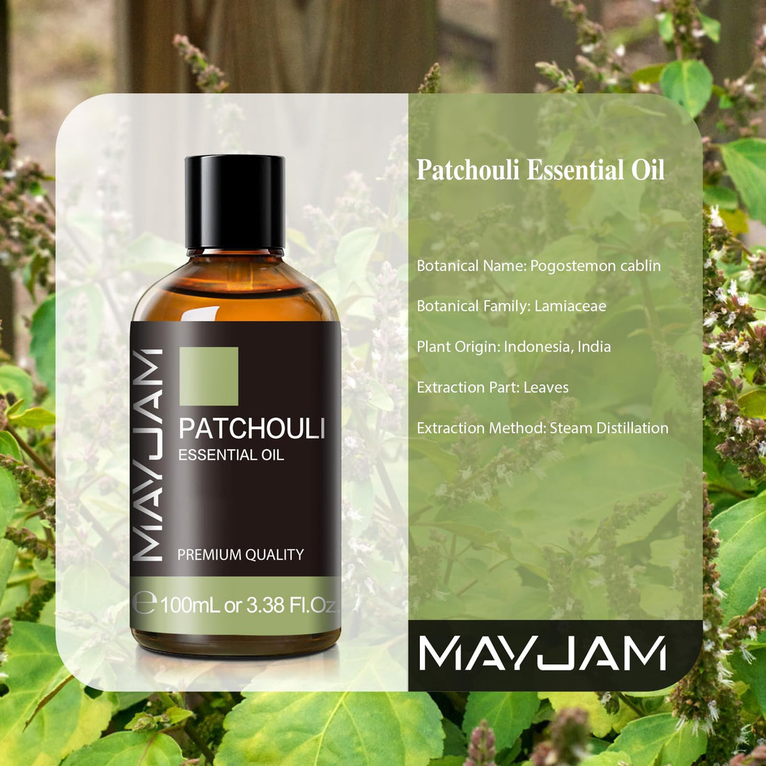 MAYJAM Sandalwood Essential Oils 100ML, Sandalwood Oil for Diffuser, Humidifier, DIY, Home, Office