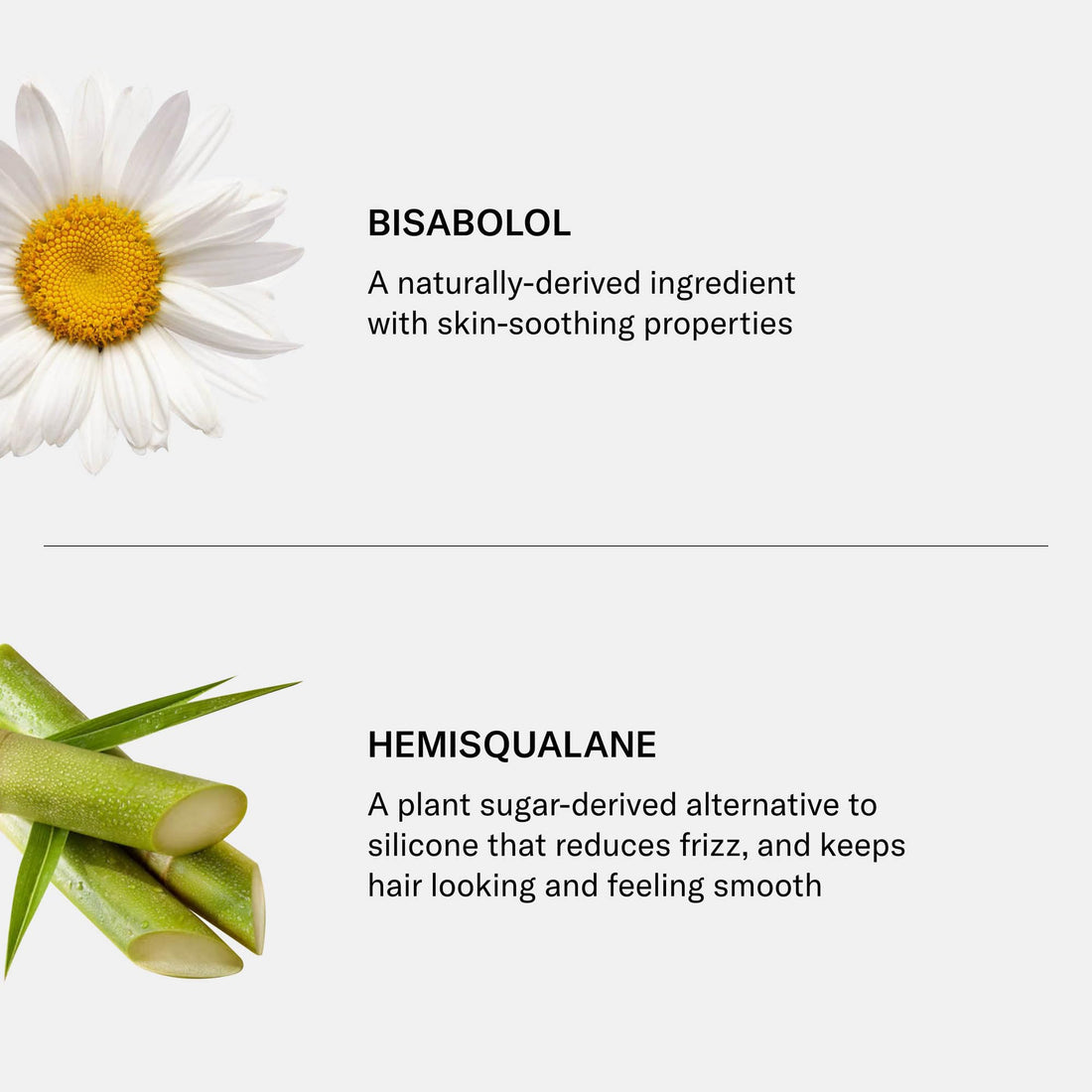 SEEN Conditioner, Scented - Non-Comedogenic Hair Conditioner - Dermatologist-Developed - Safe for Sensitive, Eczema & Acne Prone Skin Halalzen