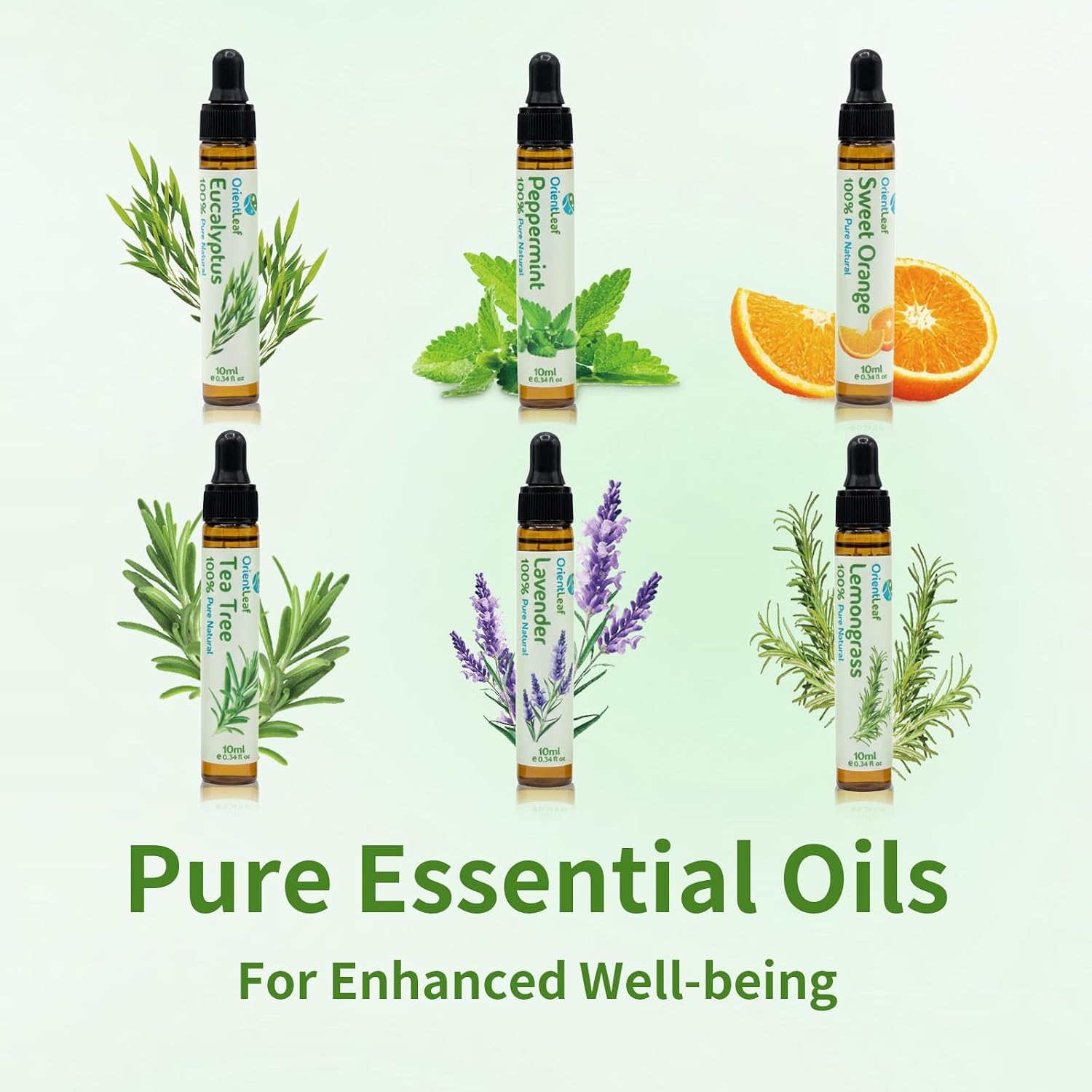 Essential Oils for Diffusers for Home, Birthday Gifts, Teacher Gifts for Women, Diffuser Oil for DIY Candle, Aromatherapy, Humidifiers, Peppermint, Tea Tree, Lavender, Eucalyptus, Orange, Citronella