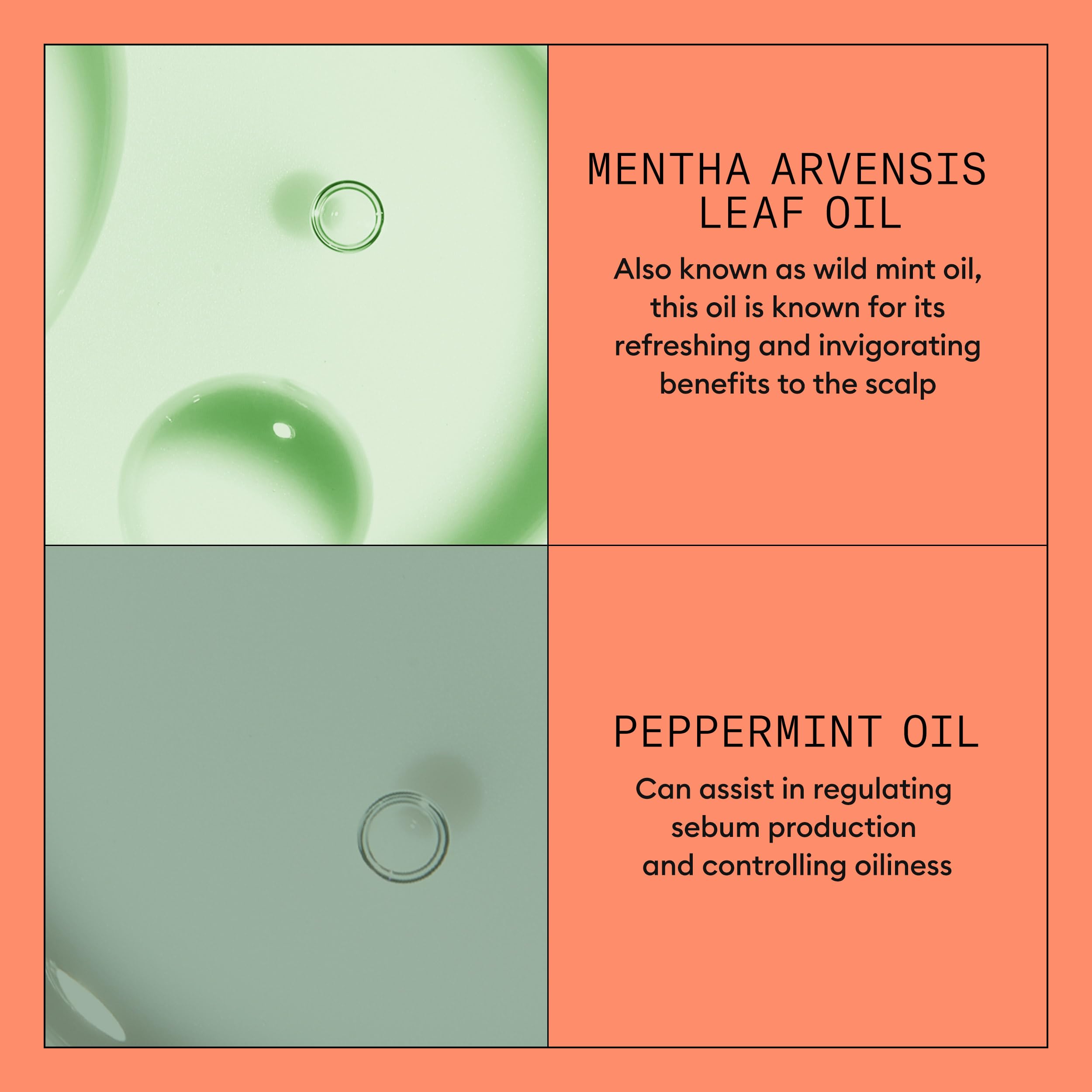 Nioxin System 4 - Hair Thickening System For Damaged Hair with Progressed Thinning - Biotin & Niacinamide - Shampoo, Conditioner, Serum