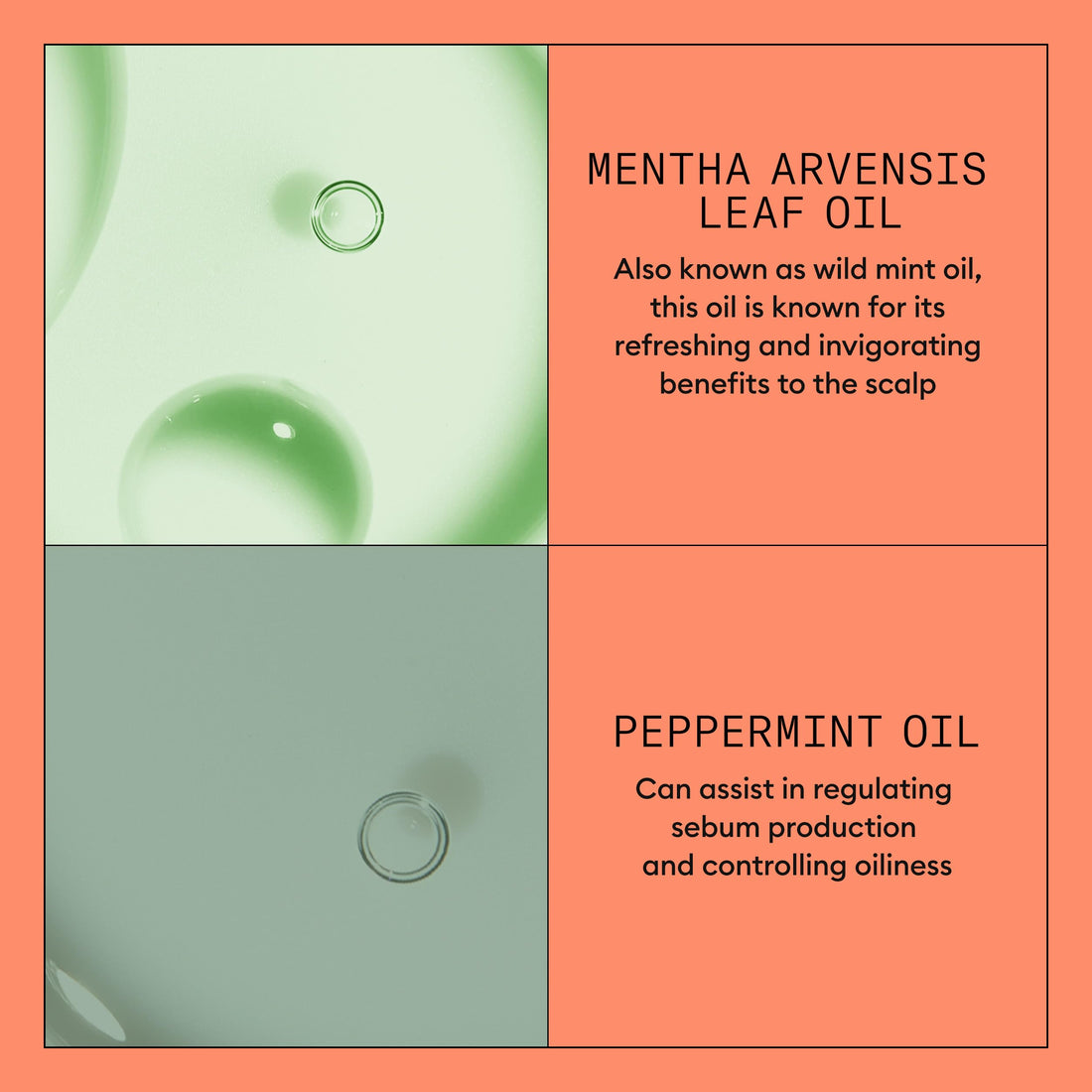 Nioxin System 4 - Hair Thickening System For Damaged Hair with Progressed Thinning - Biotin & Niacinamide - Shampoo, Conditioner, Serum