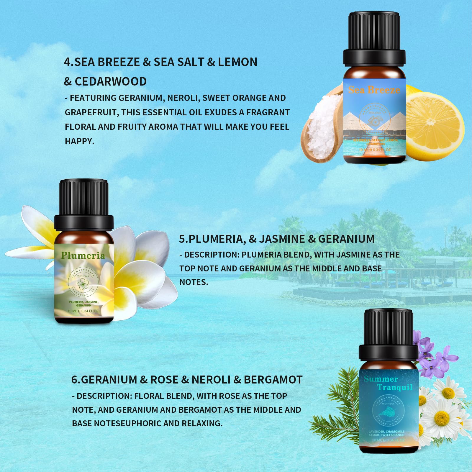 Premium Hotel Fragrance Oil Collection for Diffusers, Essential Oils for Diffusers for Home, Hotel Diffuser Fragrance Oils,Spa & Candle Making, White Tea, Citrus Luxe, Velvet Night and More - 6x10ml