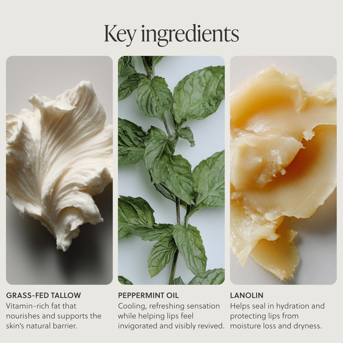 Grass-Fed Tallow Lip Balm, Lip Sleeping Mask, Overnight Moisturizer, Natural & Clean Moisturizing Lip Balm Vitamins A, D, E, & K, Nourishes and Smooths Dry & Chapped Lip (Citrus) Halalzen