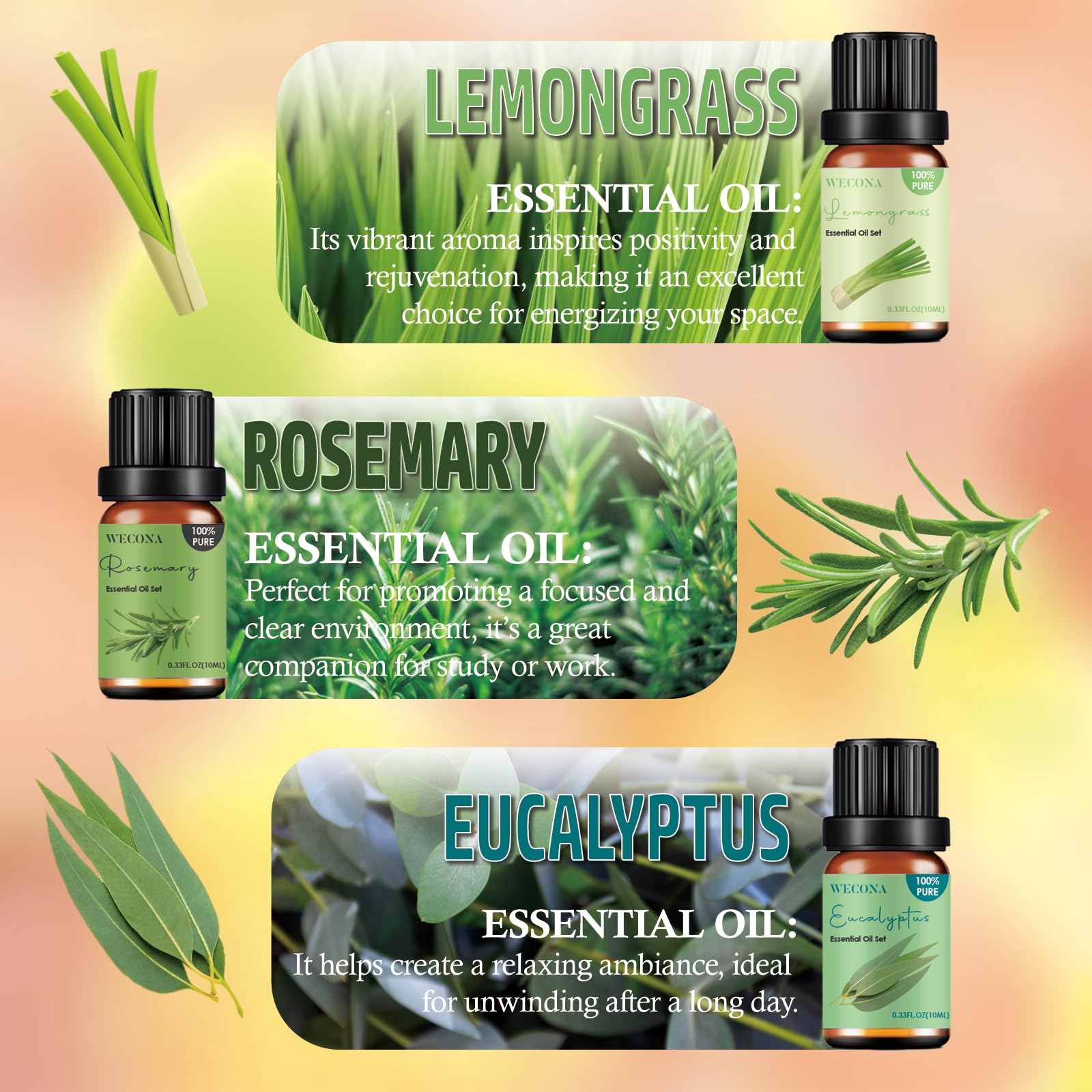 Premium Hotel Fragrance Oil Collection for Diffusers, Essential Oils for Diffusers for Home, Hotel Diffuser Fragrance Oils,Spa & Candle Making, White Tea, Citrus Luxe, Velvet Night and More - 6x10ml